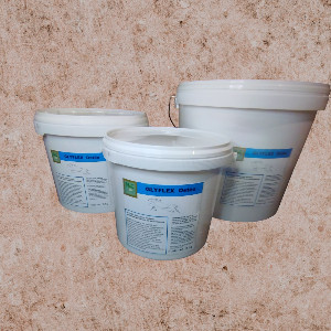 GLYFLEX Ostéo SENIOR