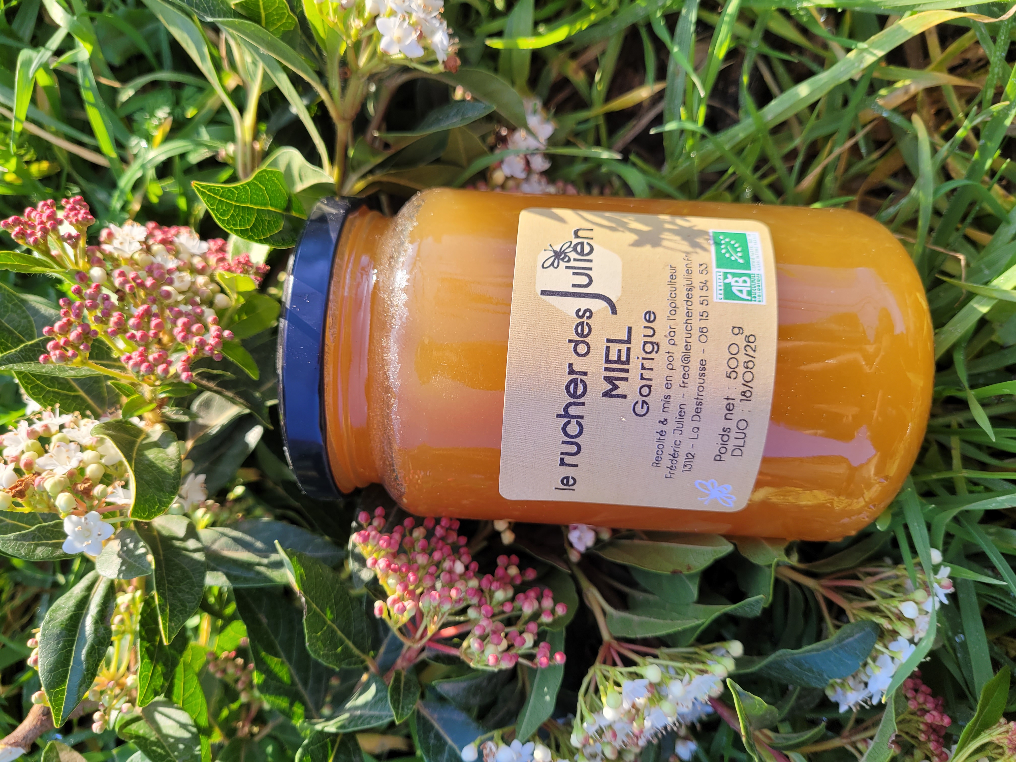 Miel de Garrigue