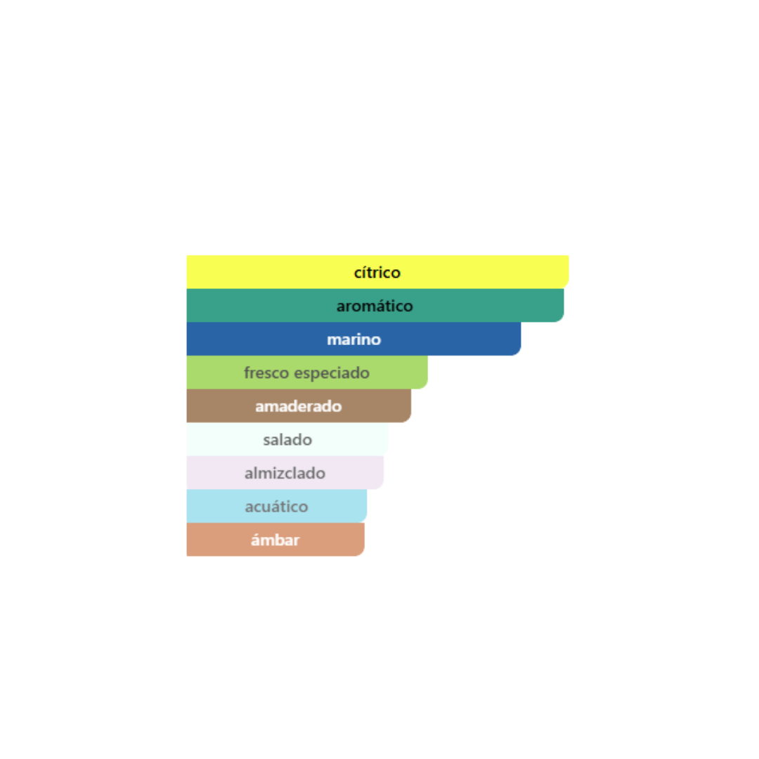 Dolce & Gabbana - Light Blue Eau Intense