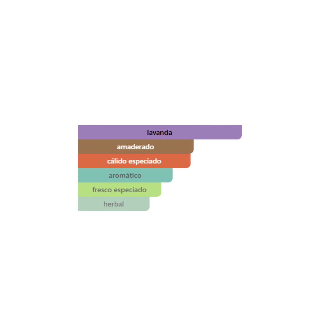 Valentino - Uomo Born In Roma Extradose