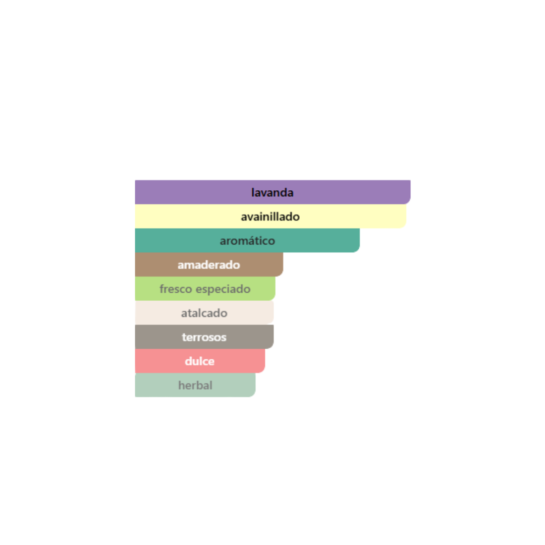 Valentino - Uomo Born In Roma Intense