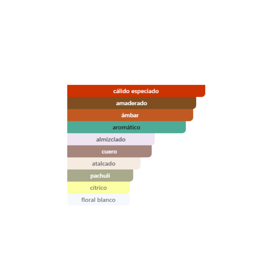 Dolce & Gabbana - The One Intense