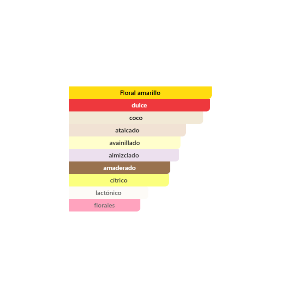 Maison Margiela - Replica Beach Walk