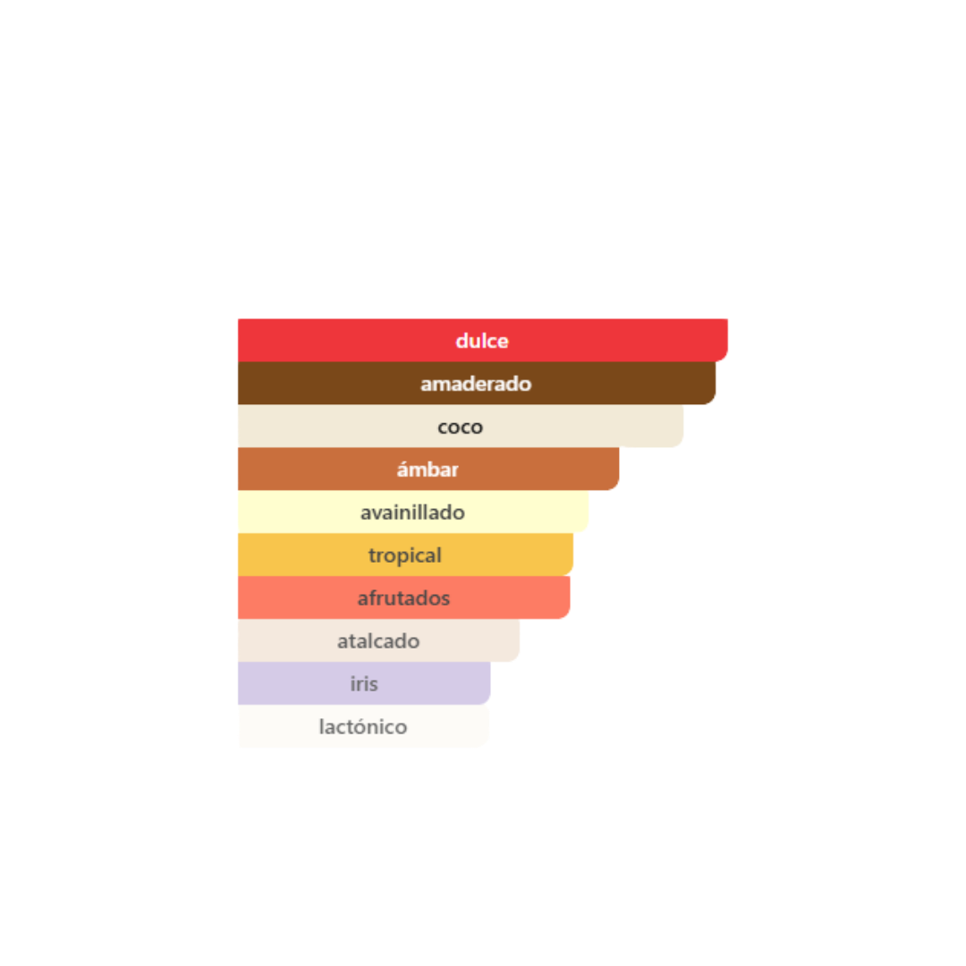 Jean Paul Gaultier - Le Beau Le Parfum