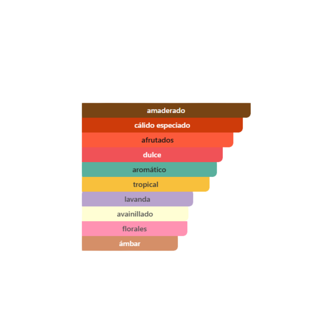 Afnan - 9PM Night Out