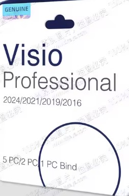 Visio Pro 2021 Key 5 Pc