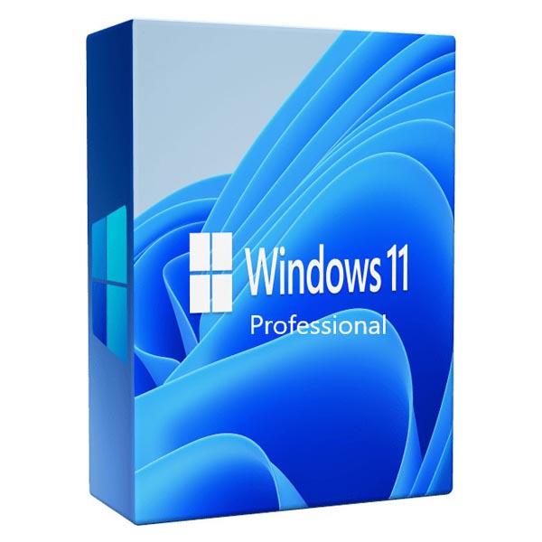 Windows 11 Pro