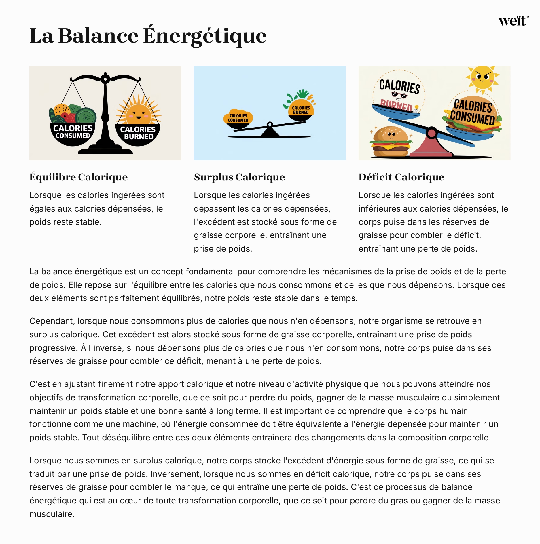 La recomposition corporelle : bien plus qu'un "régime"