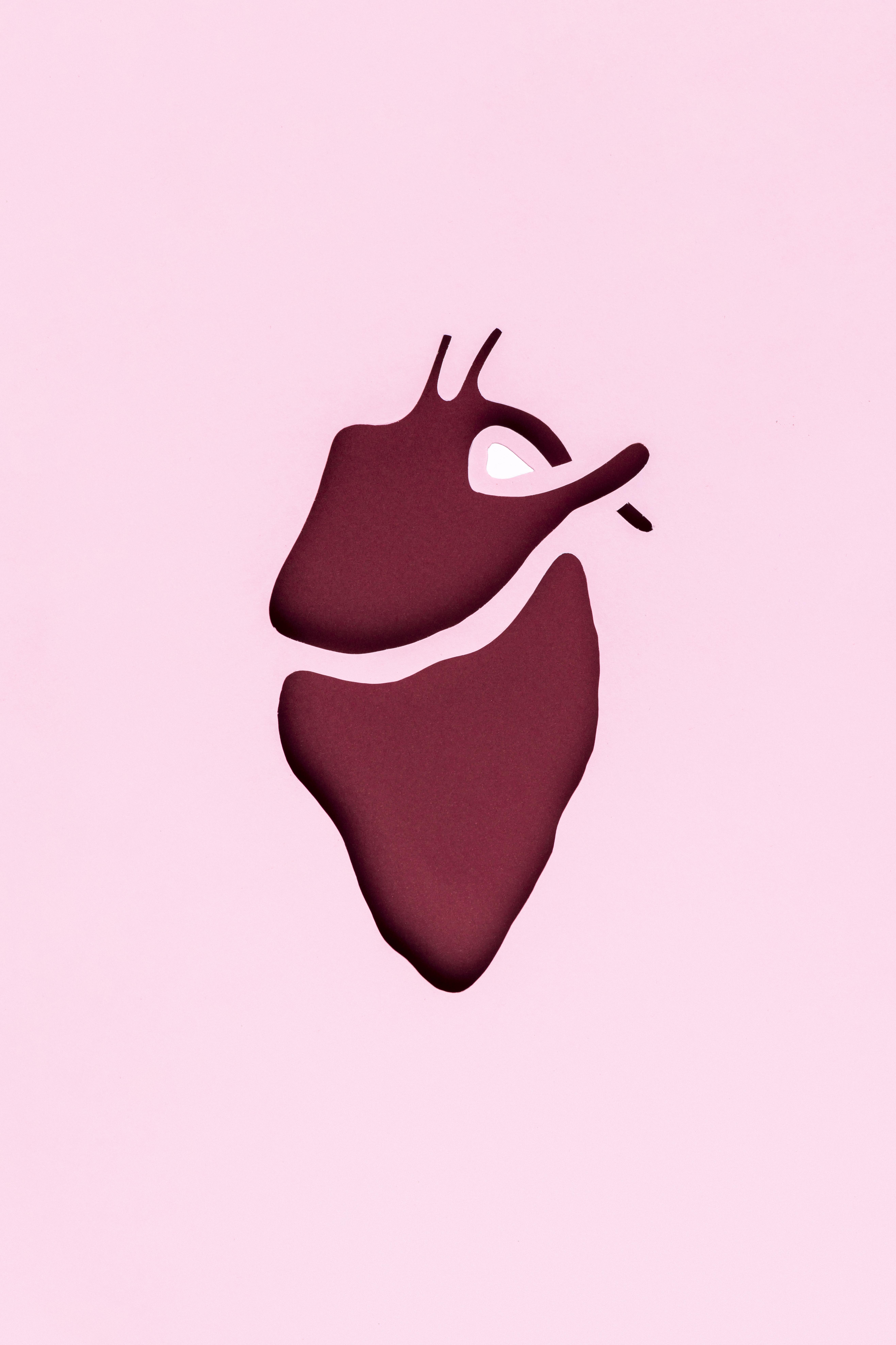 La cohérence cardiaque