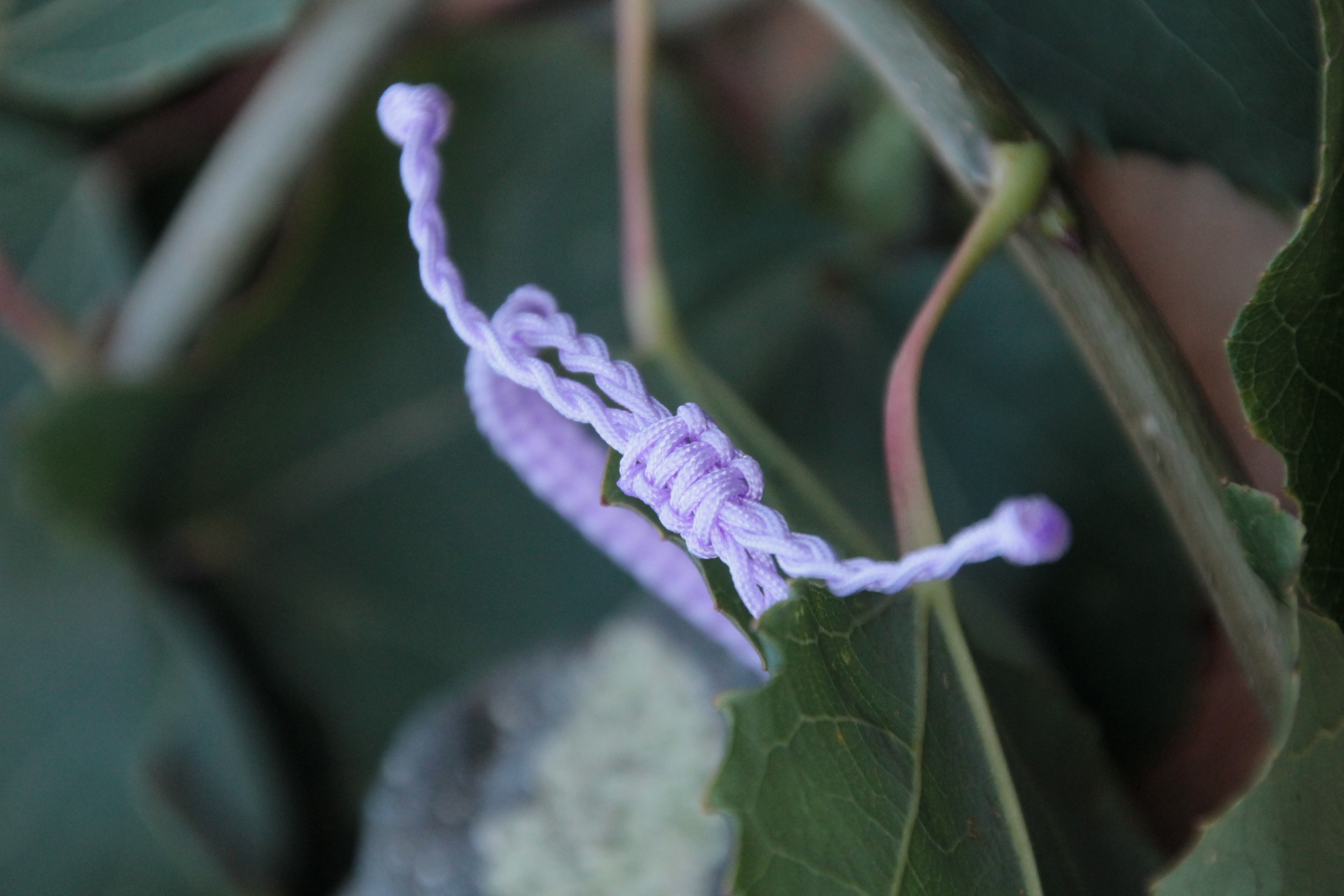 Apatit - Makramee Armband