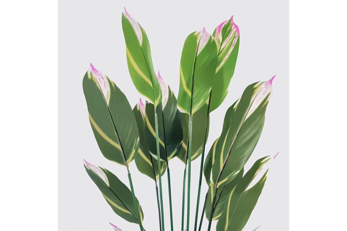 Διακοσμητικό φυτό 180cm