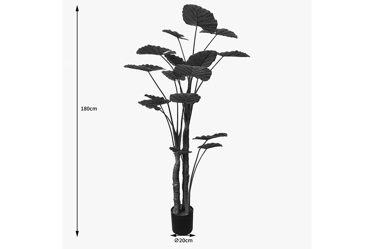 Διακοσμητικό φυτό 180cm