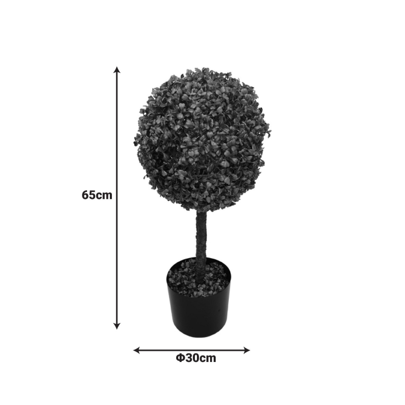 Διακοσμητικό φυτό 65cm