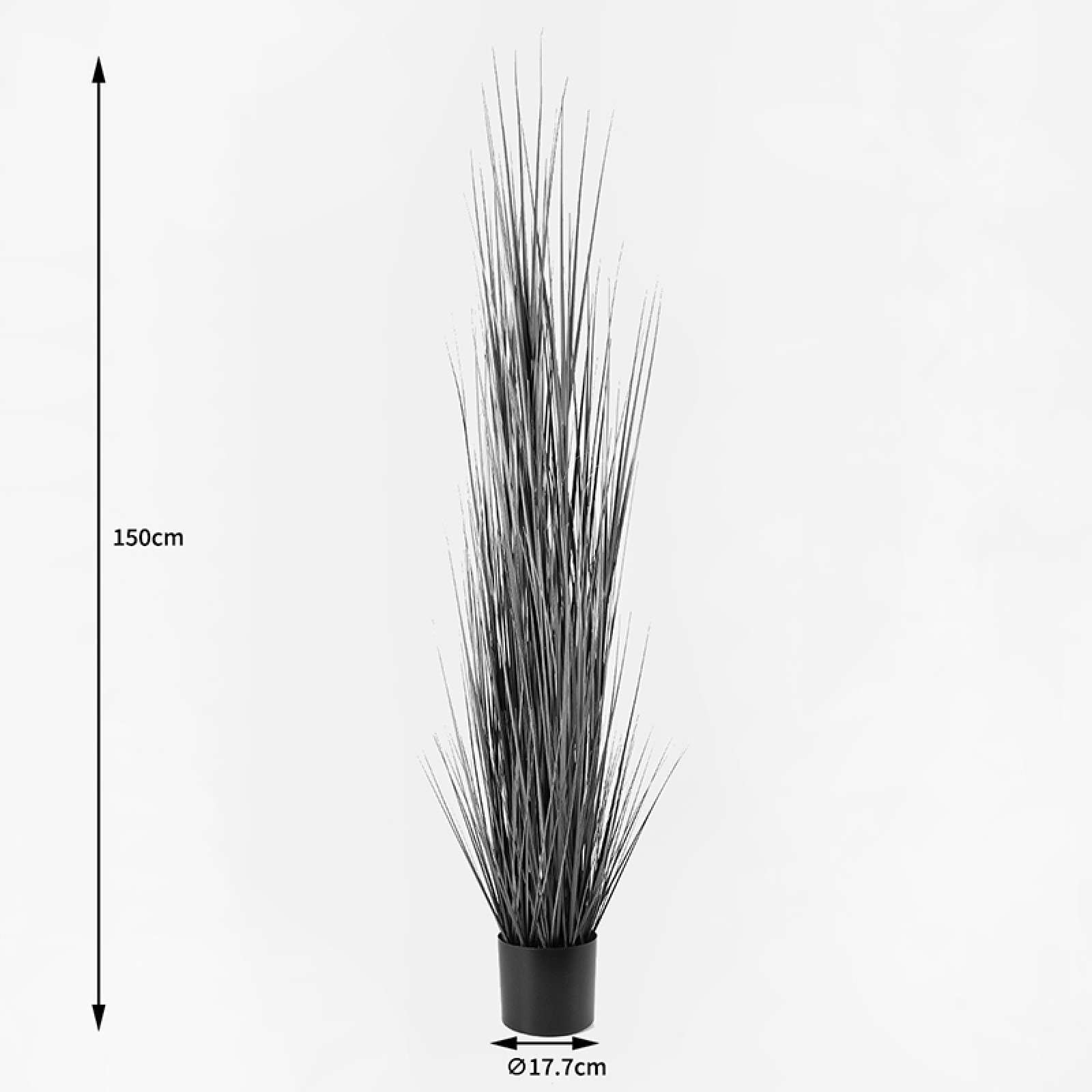 Διακοσμητικό φυτό 150cm