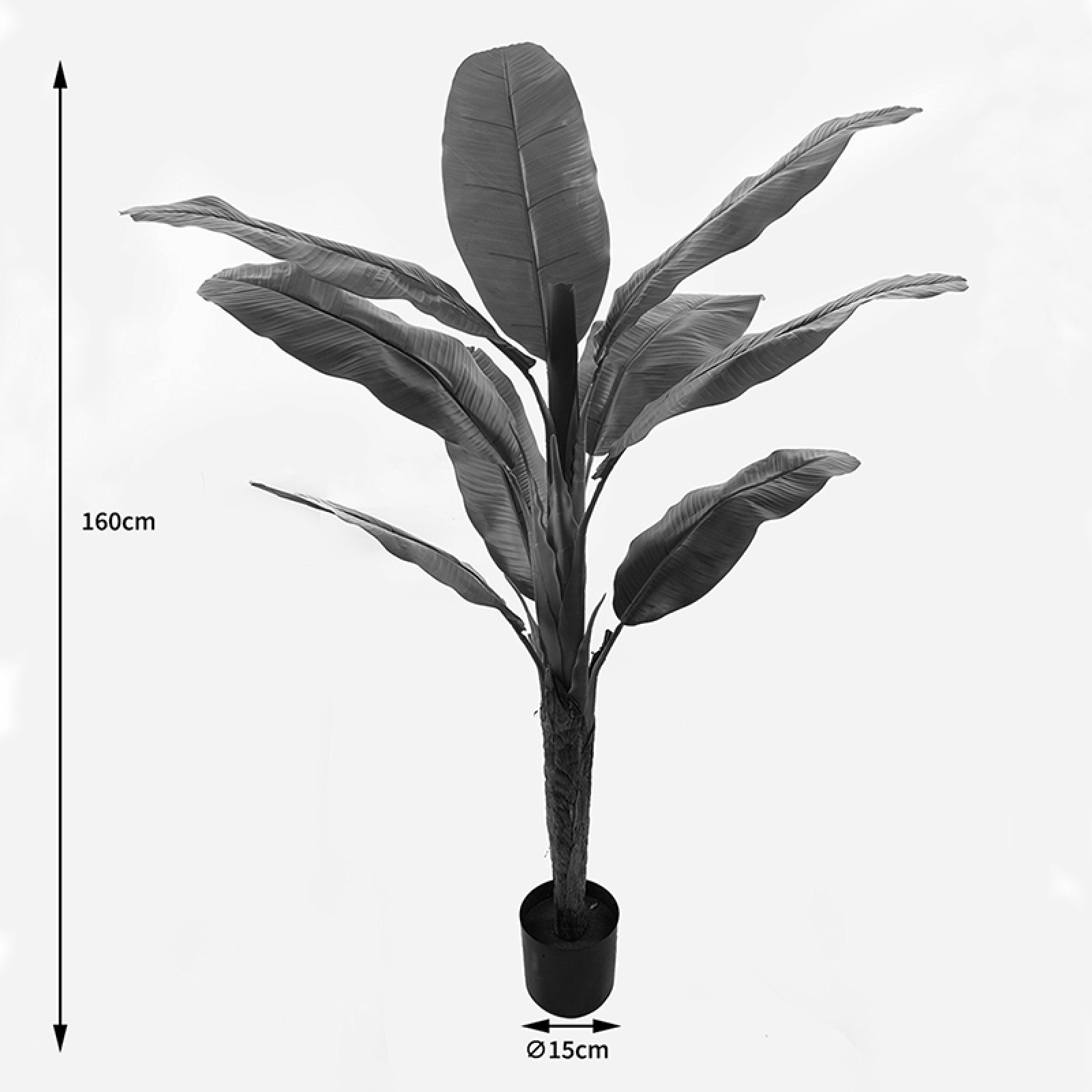 Διακοσμητικό φυτό 160cm