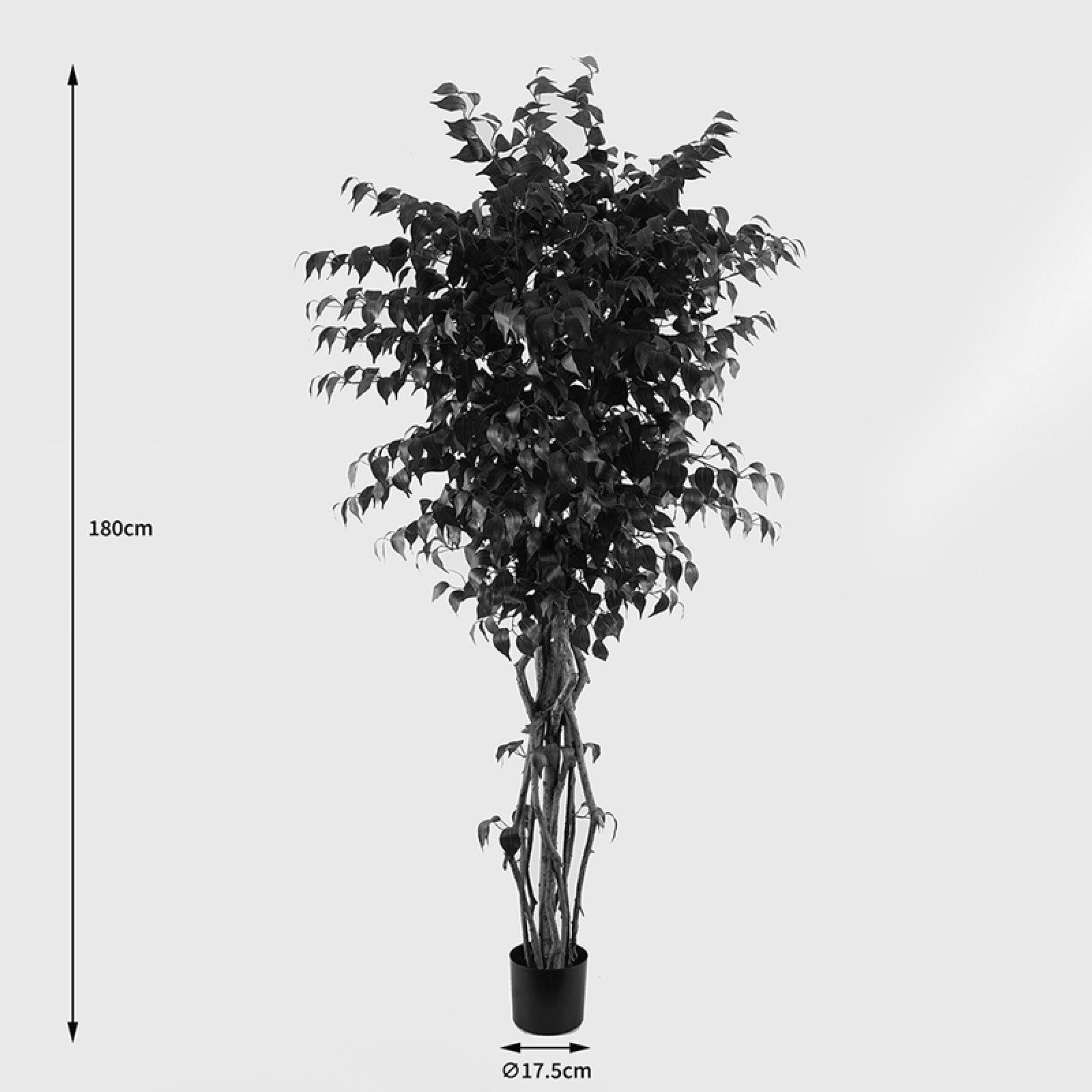 Διακοσμητικό φυτό 180cm 