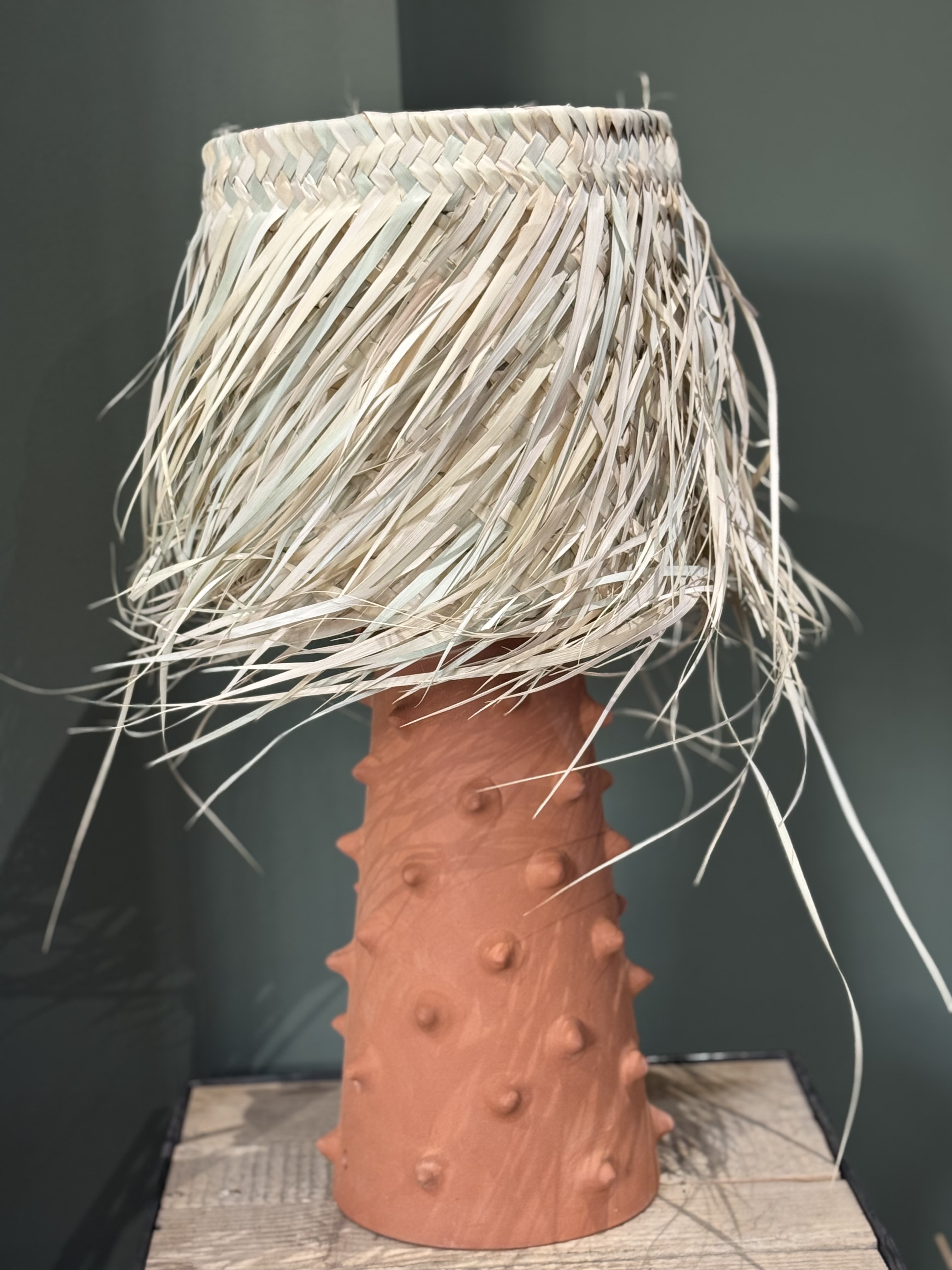 Lampe à poser Cactus Terracota