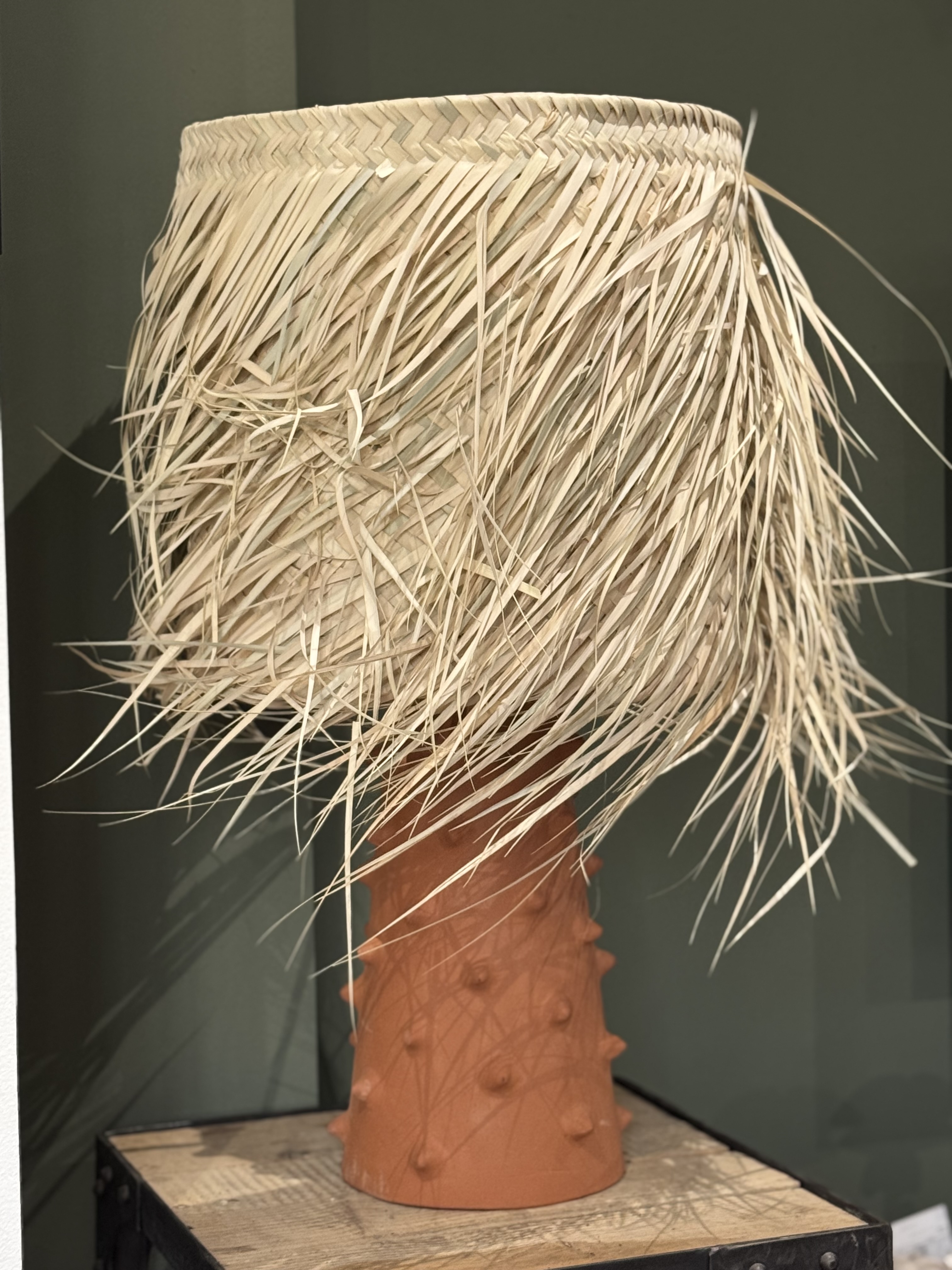 Lampe à poser Cactus Terracota