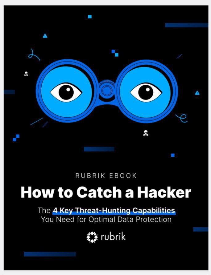 How To Catch A Hacker