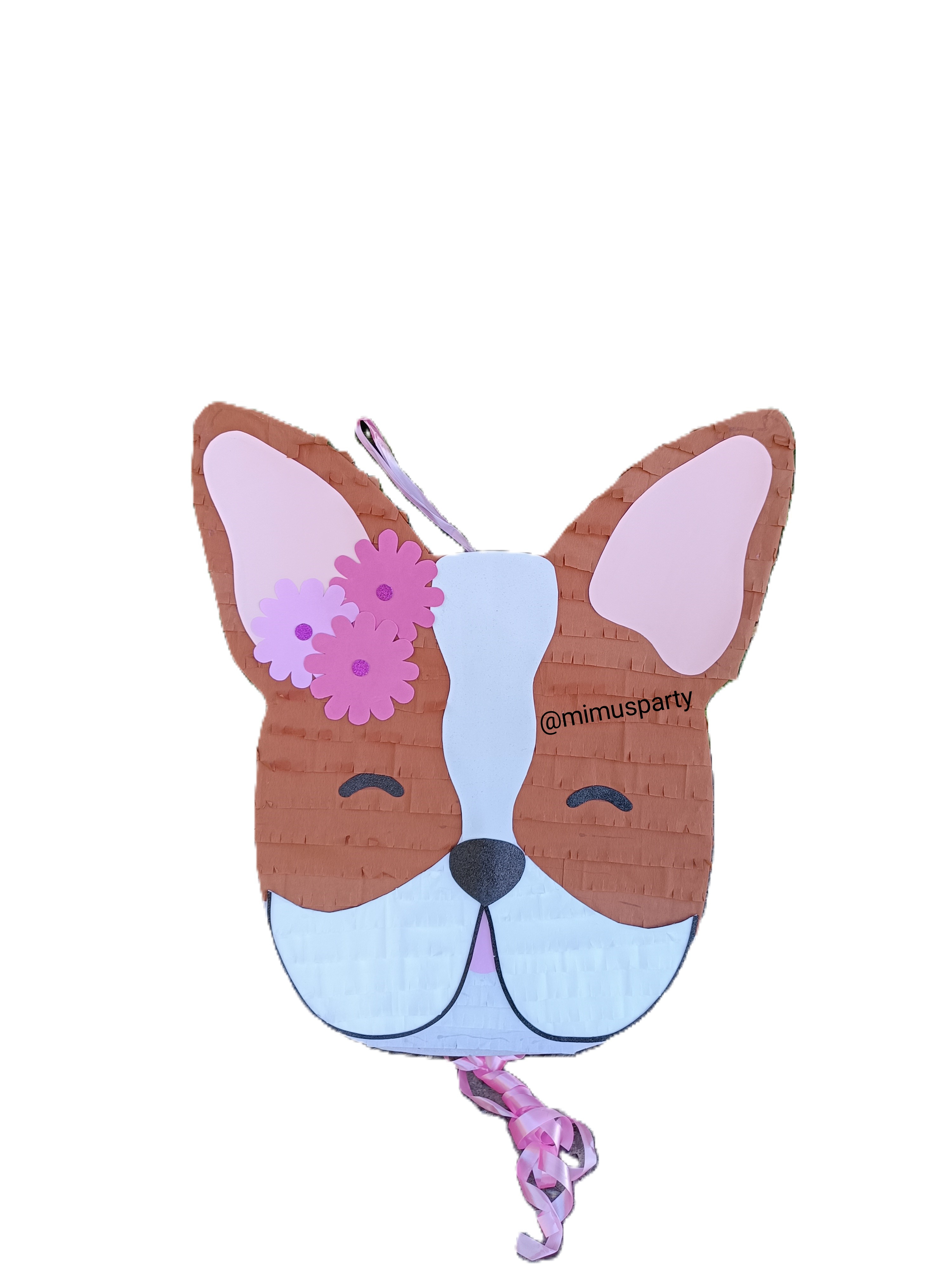 Dog Face Piñata