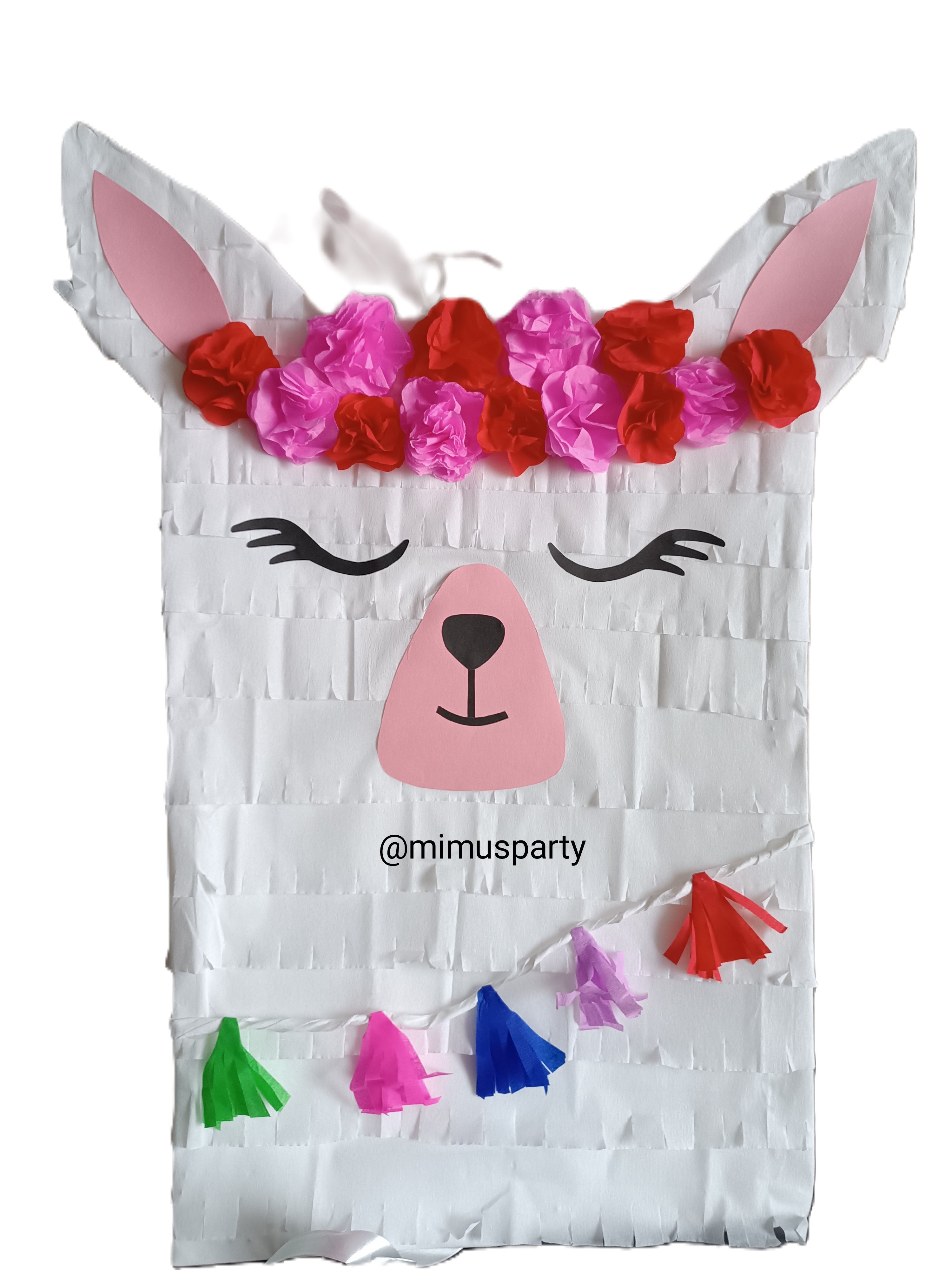 Llama Piñata