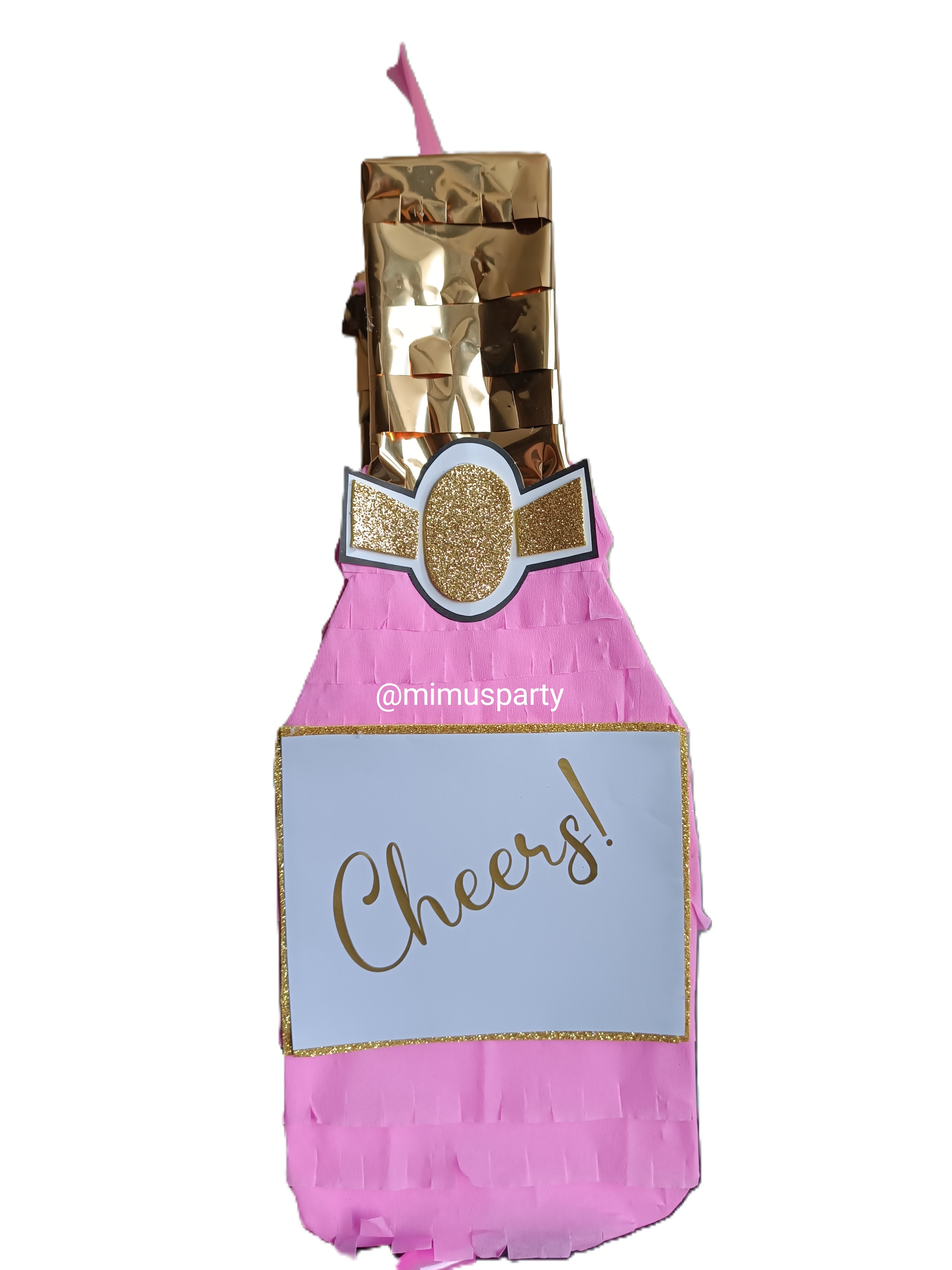 Champagne Bottle Piñata