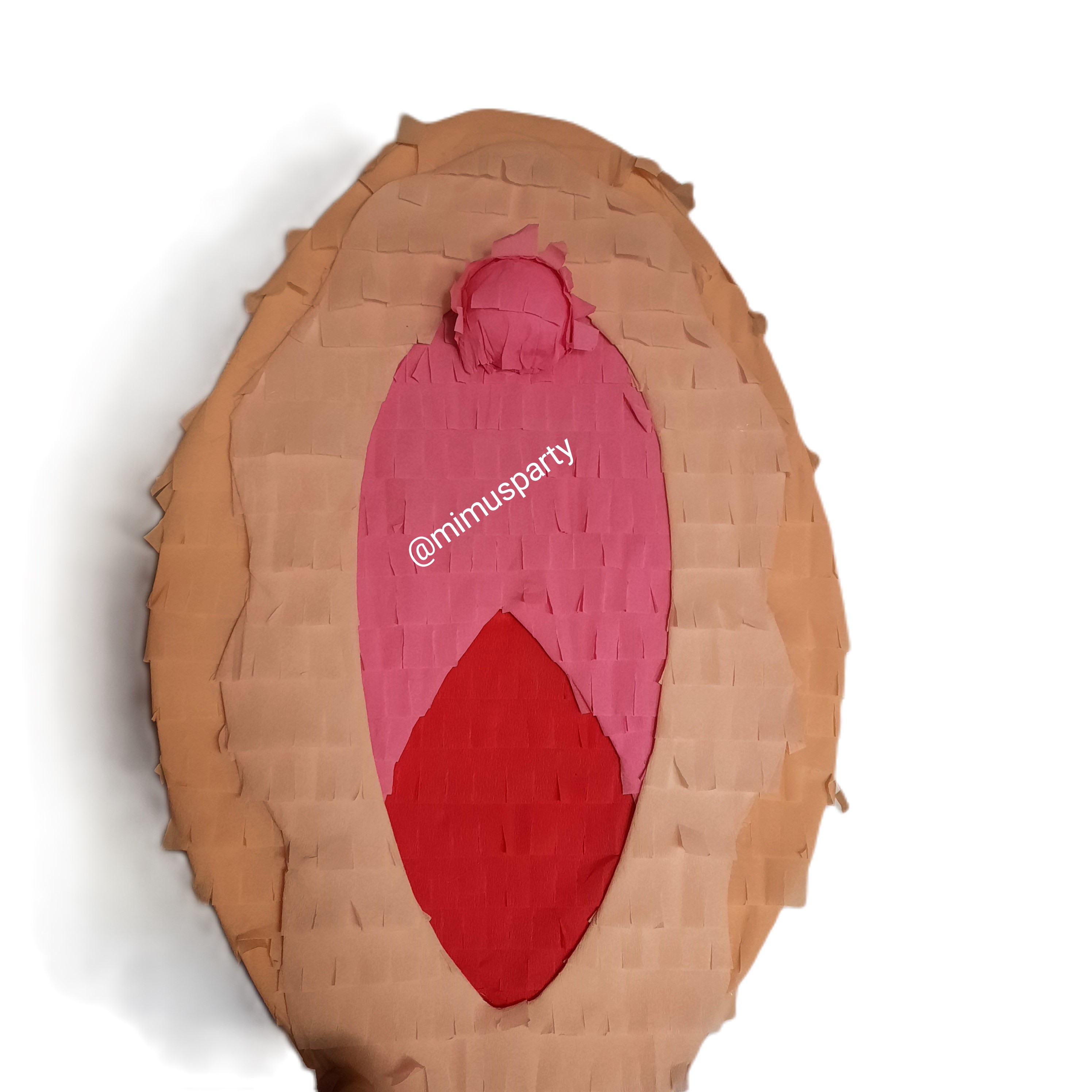 Vagina Piñata