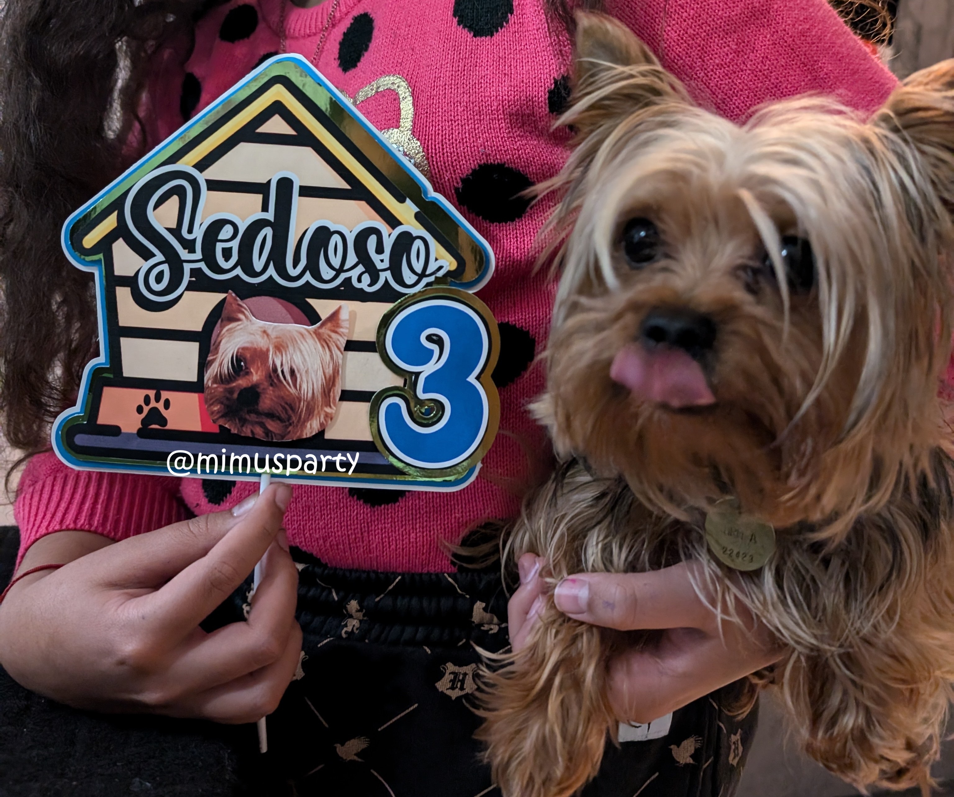 Dog Personalized Cake Topper 