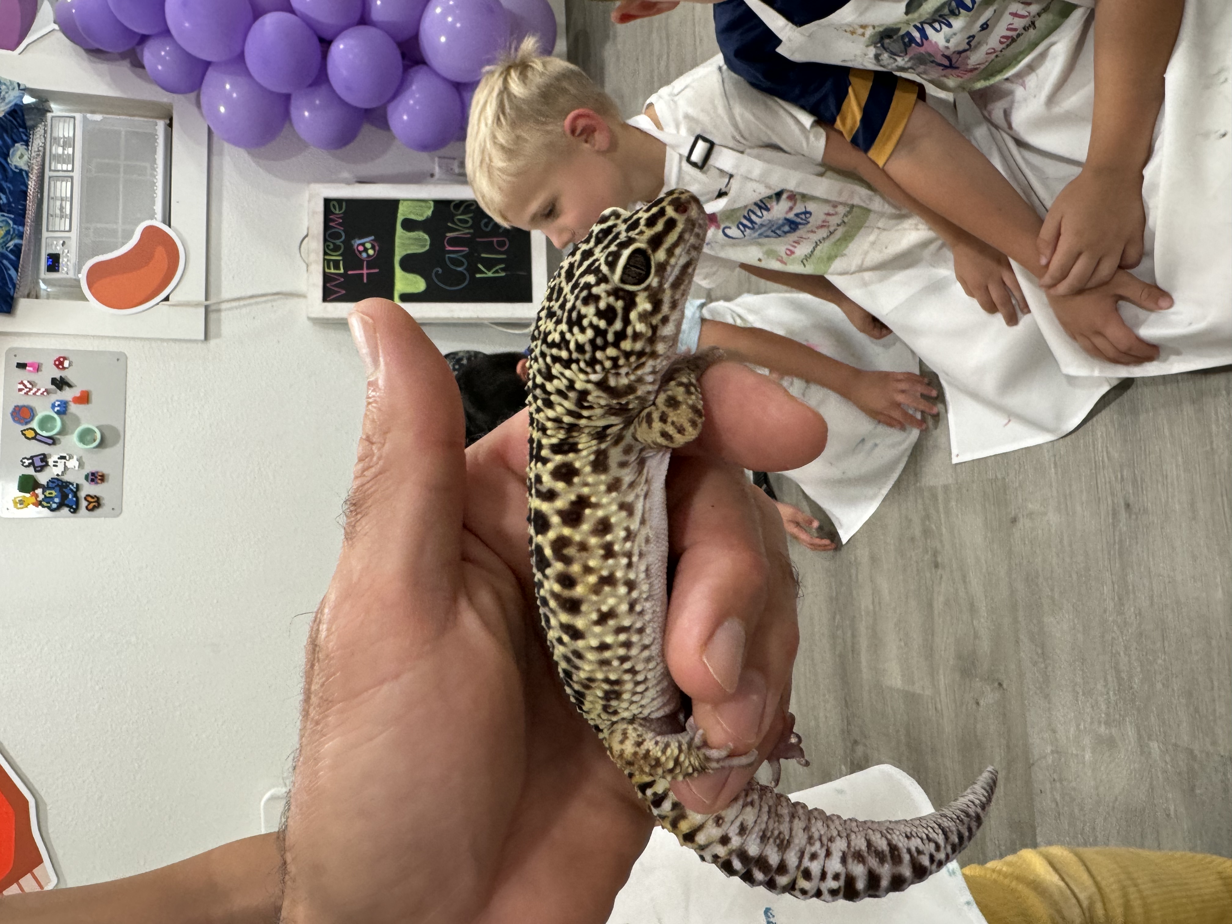 Support the Animals!