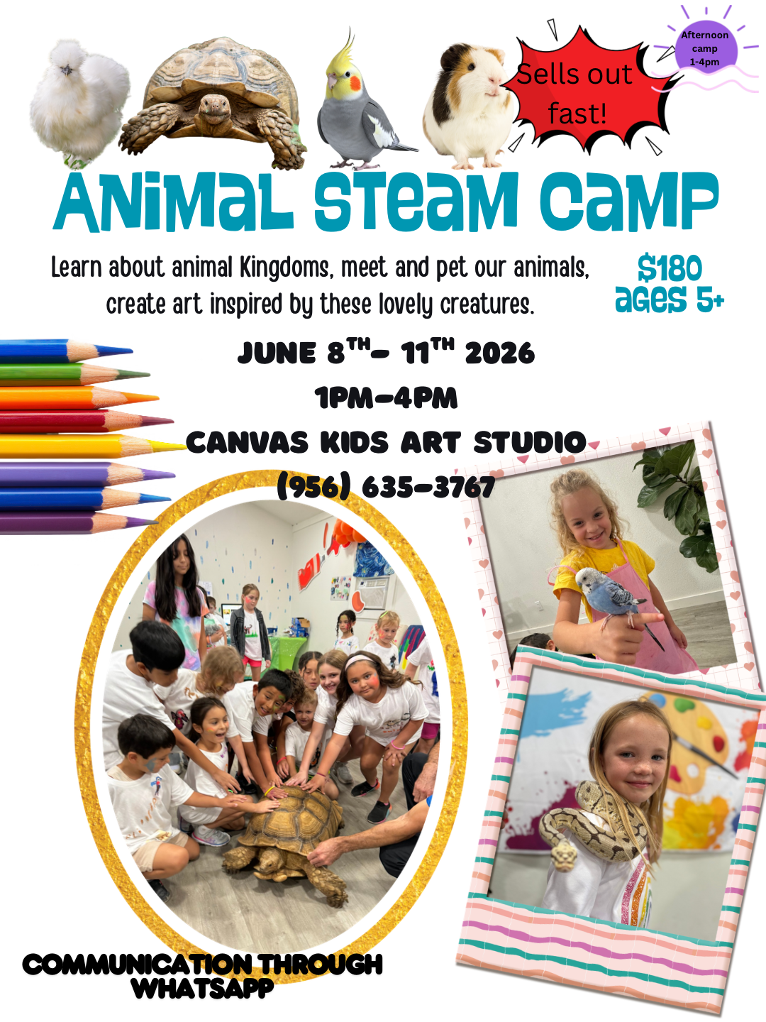 Animal STEAM Camp: 6/8-6/11   1-4pm