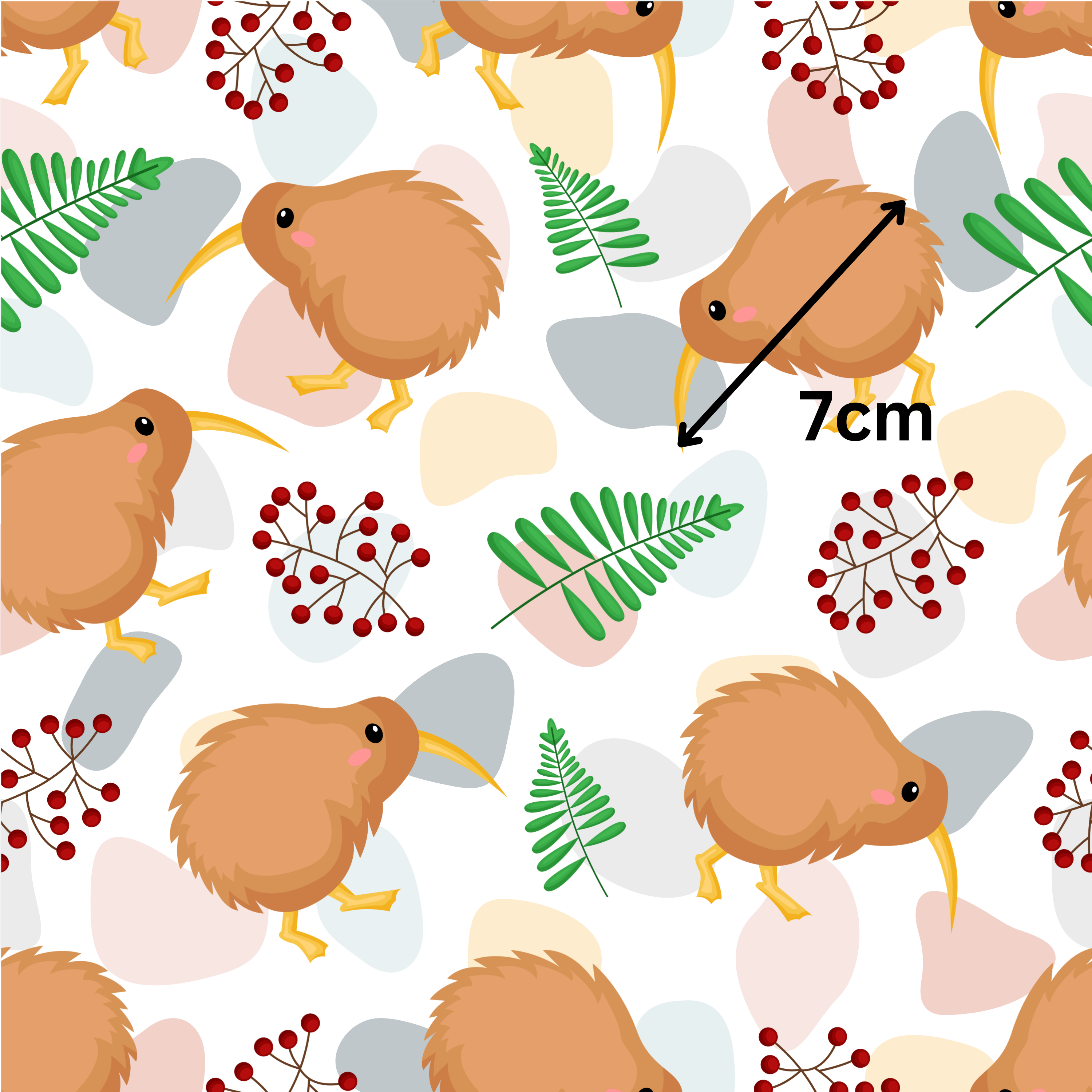 12.01.25 Kiwi Bird