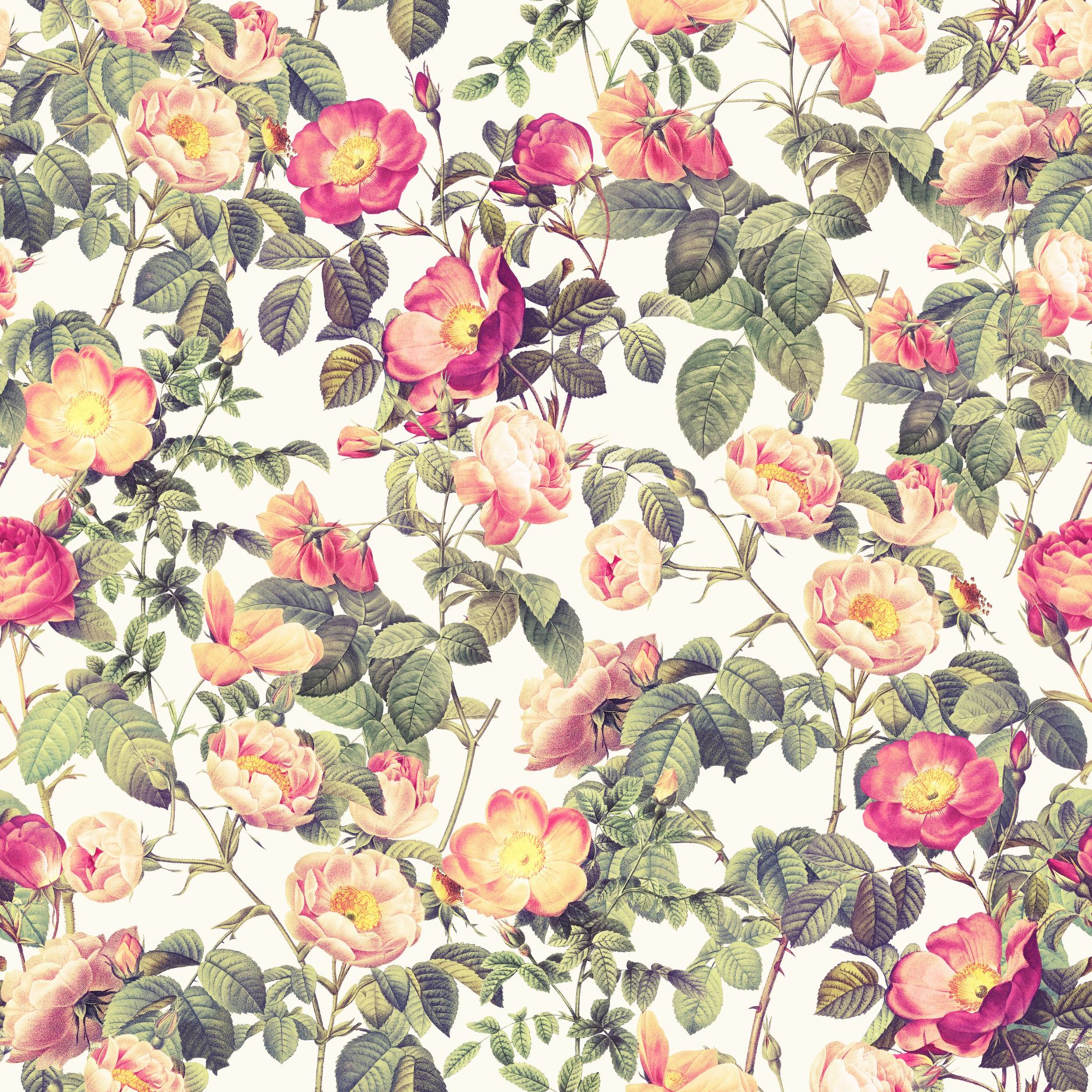 15.01.25 Florals Collection (4 different patterns)