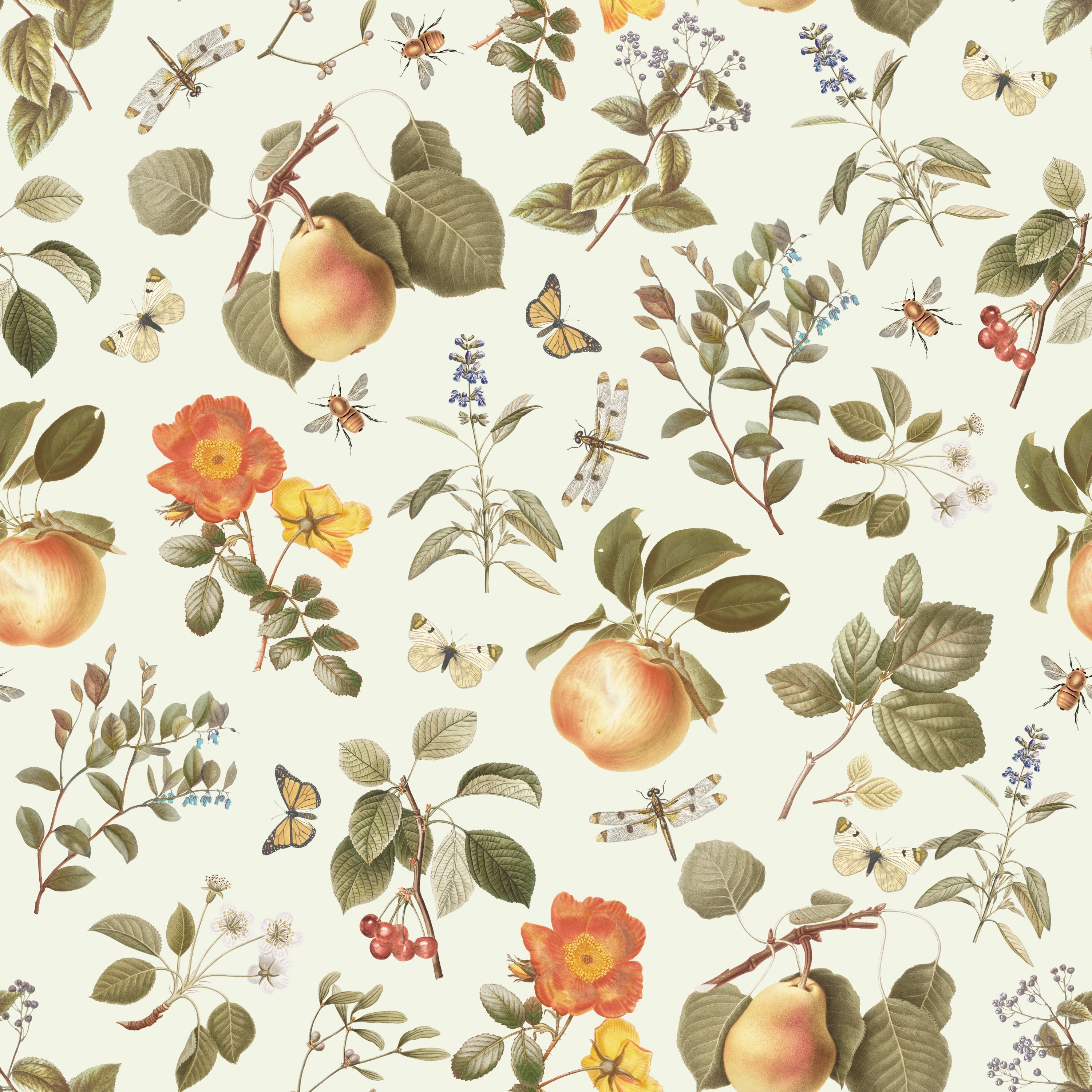 25.01.25  Vintage Fruit Designs  (5 different patterns)