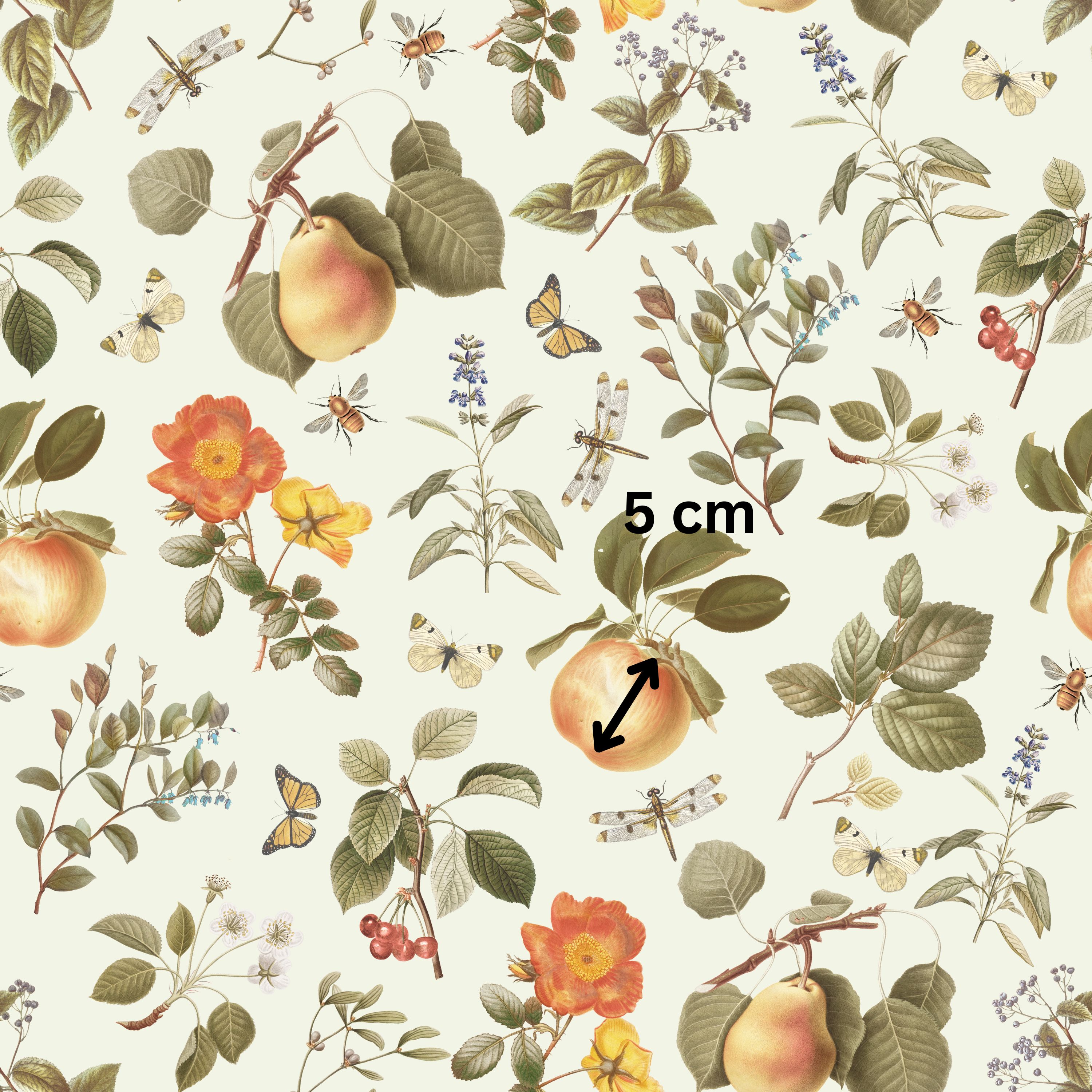 25.01.25  Vintage Fruit Designs  (5 different patterns)