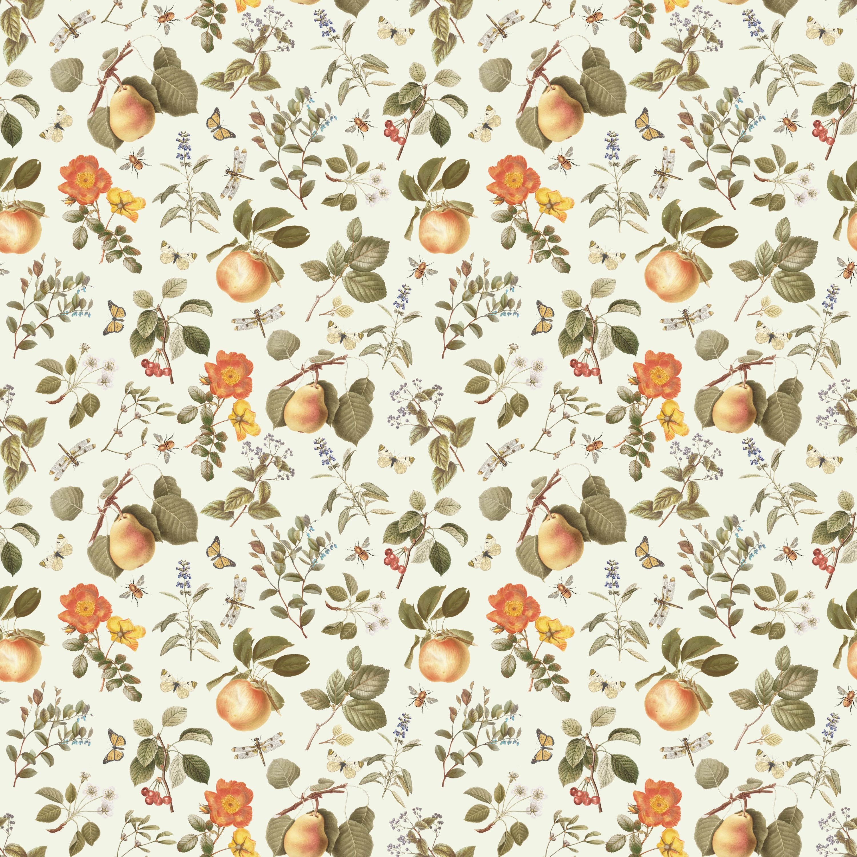 25.01.25  Vintage Fruit Designs  (5 different patterns)