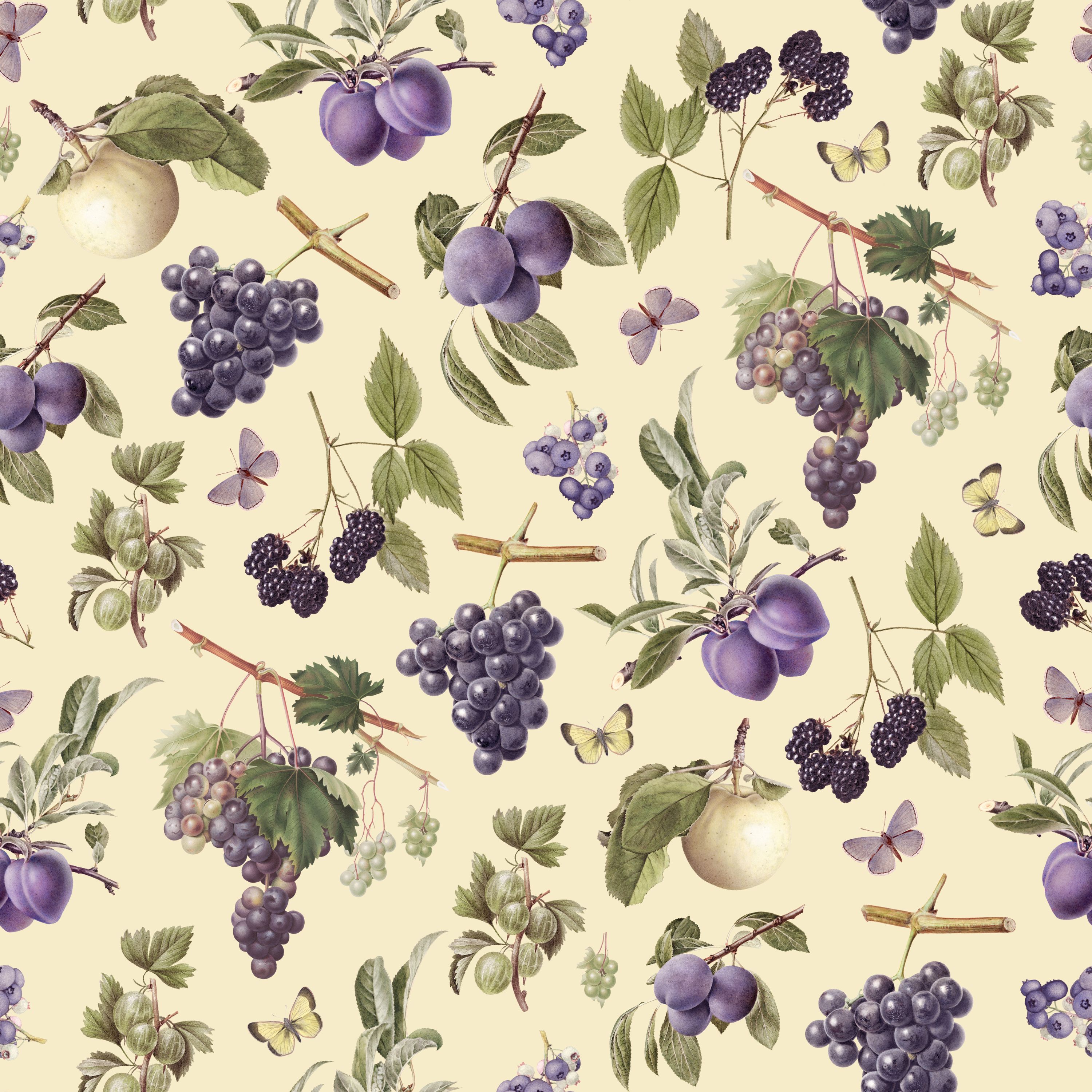 25.01.25  Vintage Fruit Designs  (5 different patterns)