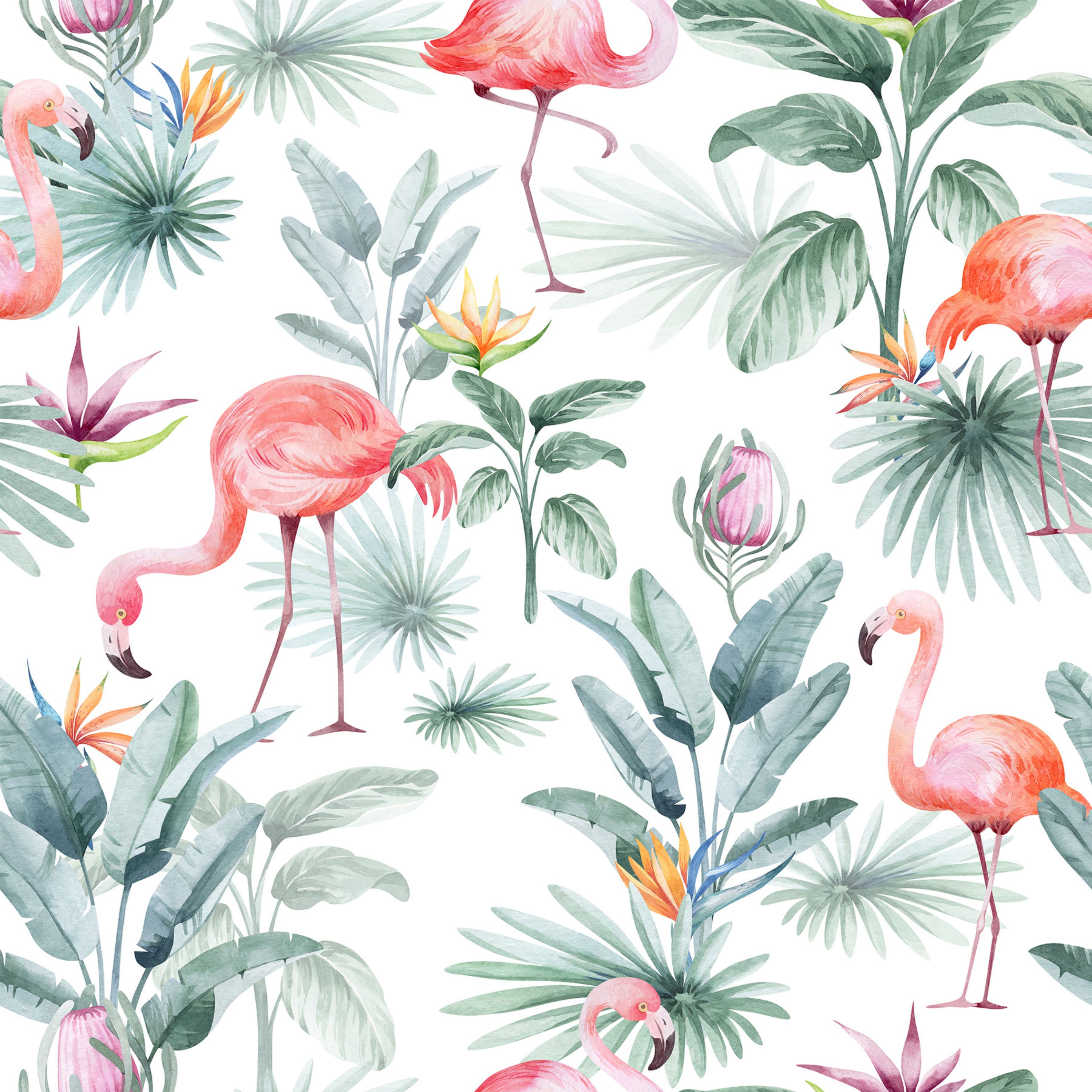 55.01.25 Tropical Flamingo - 5 designs