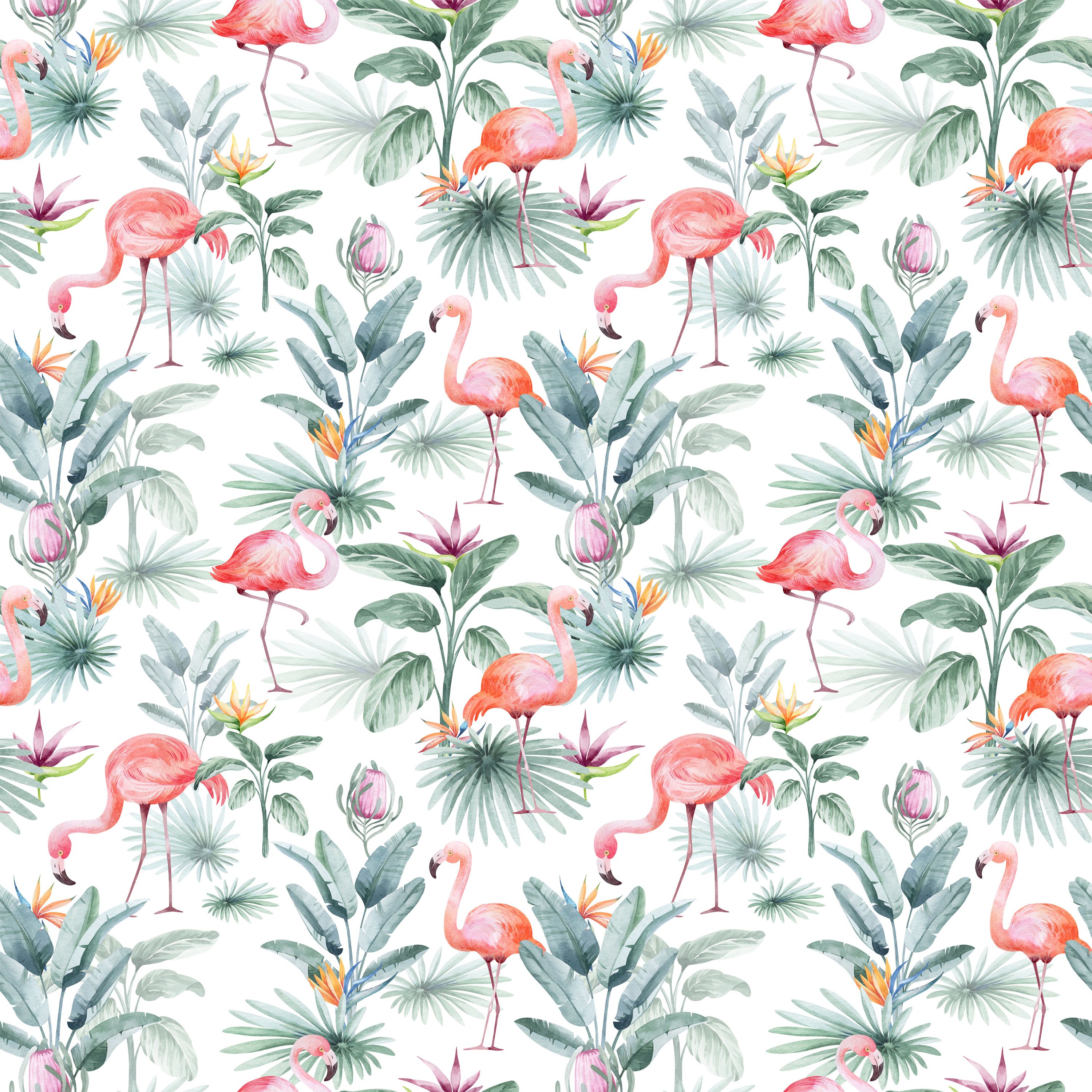 55.01.25 Tropical Flamingo - 5 designs