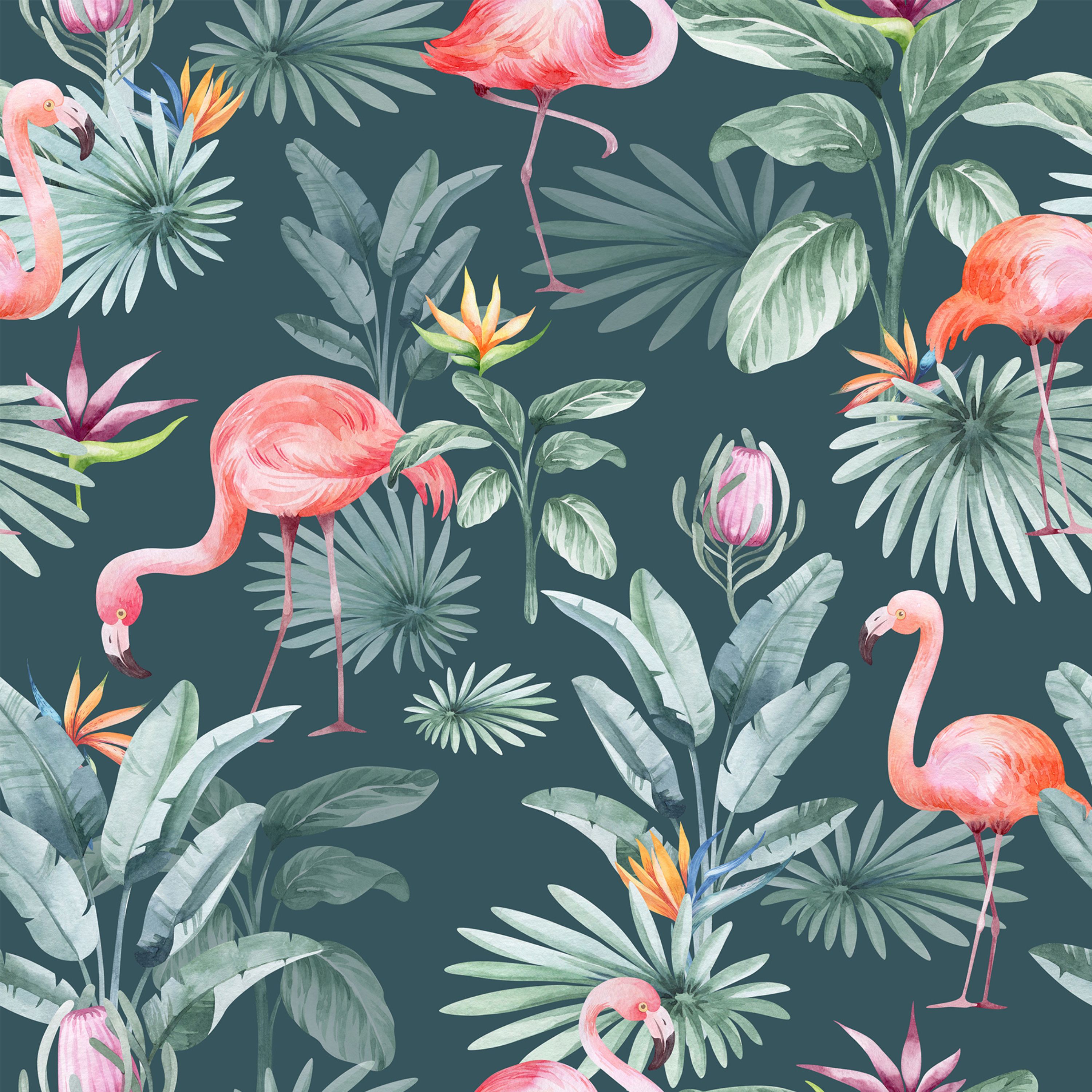 55.01.25 Tropical Flamingo - 5 designs
