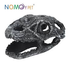  Animal skull size NS-19   19*12*12