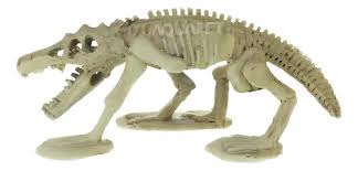 NS-99 nomoy 19*9.5*8.5cm