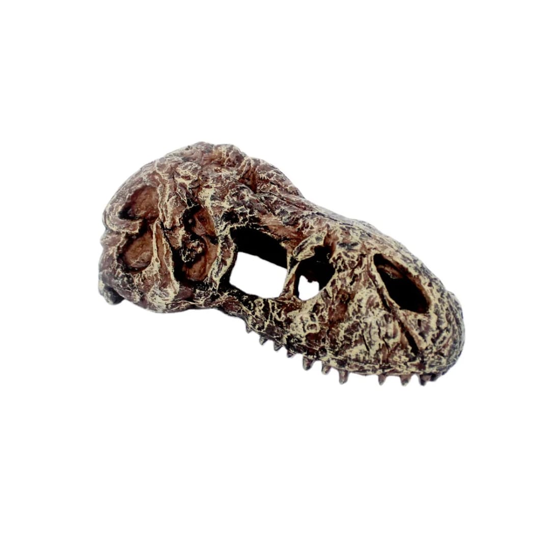 Resin cave bowl NS-111