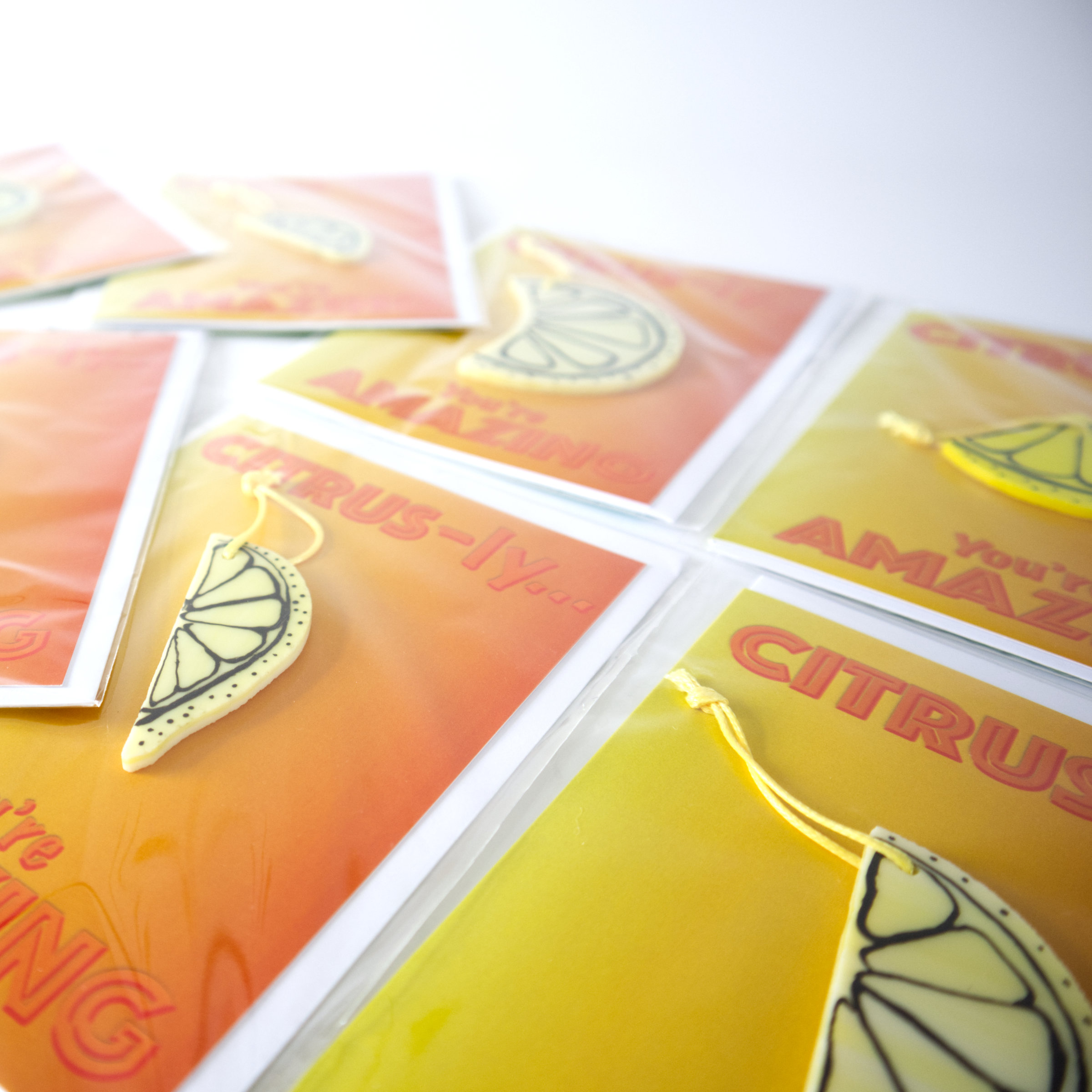 Citrus Slice Hand painted Glass Ornament (OPAQUE)