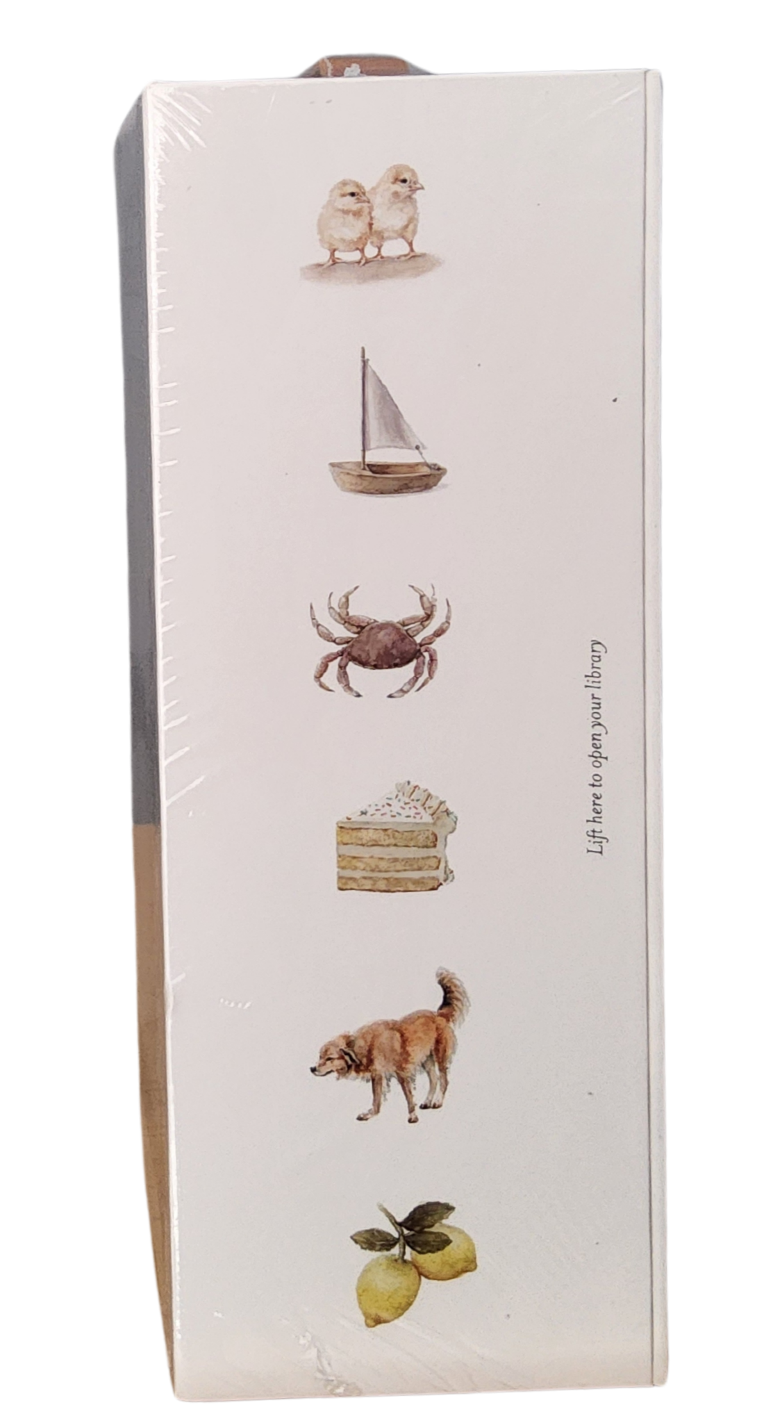 Our Very Little Library Board Book Set