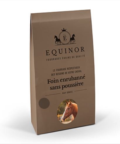 Equinor ray gras 