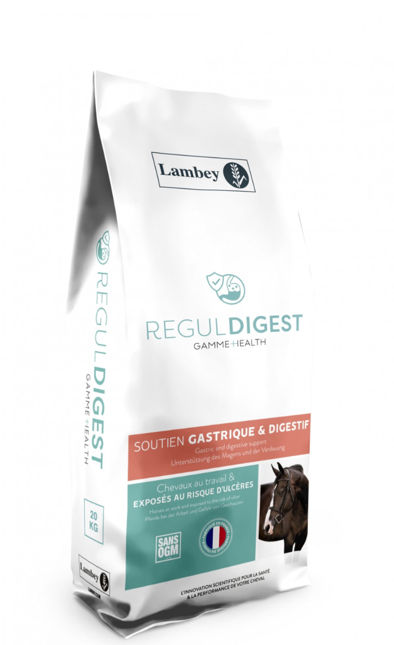 Lambey Regul Digest 