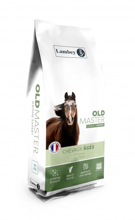 Lambey Old Master 