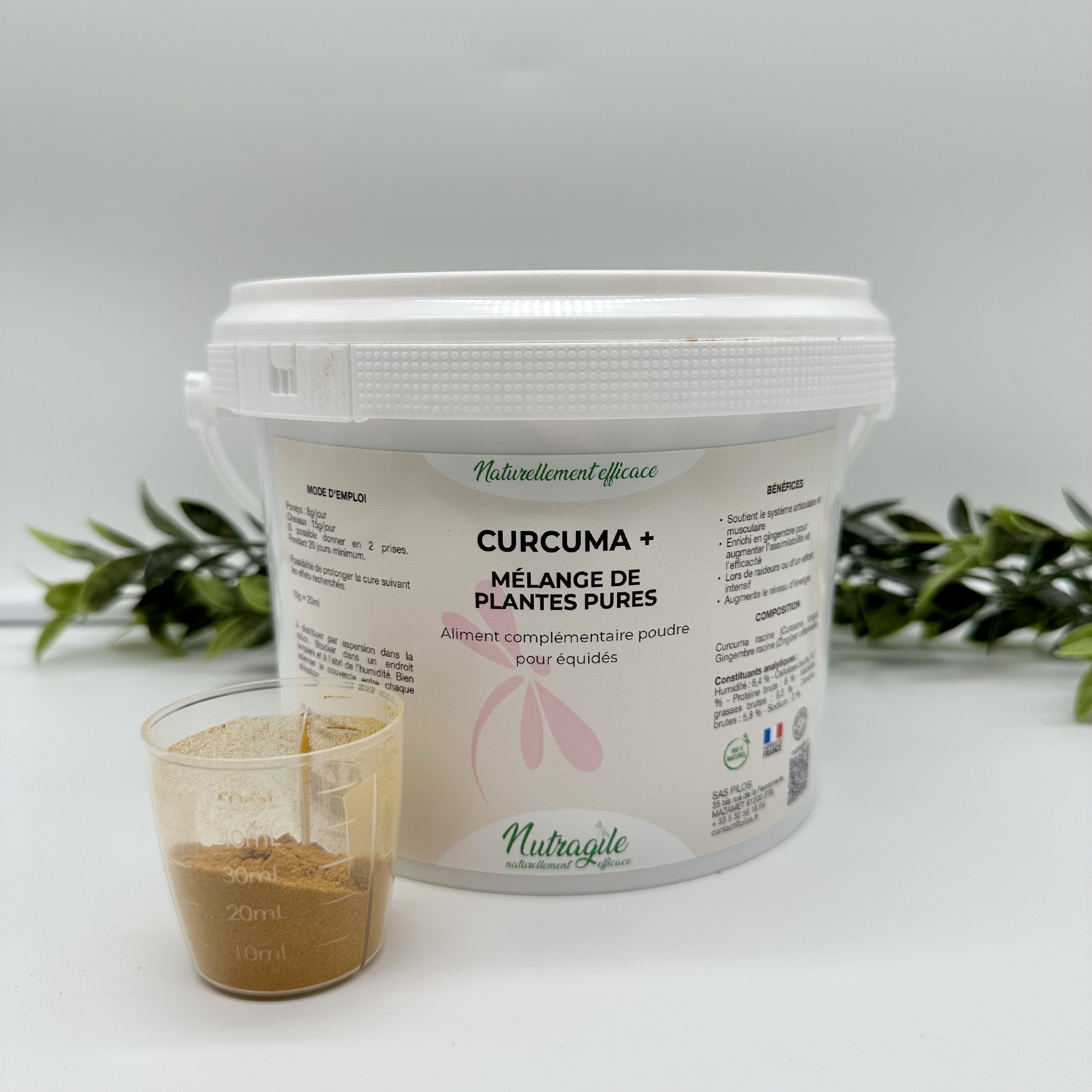 NUTRAGILE Curcuma + 