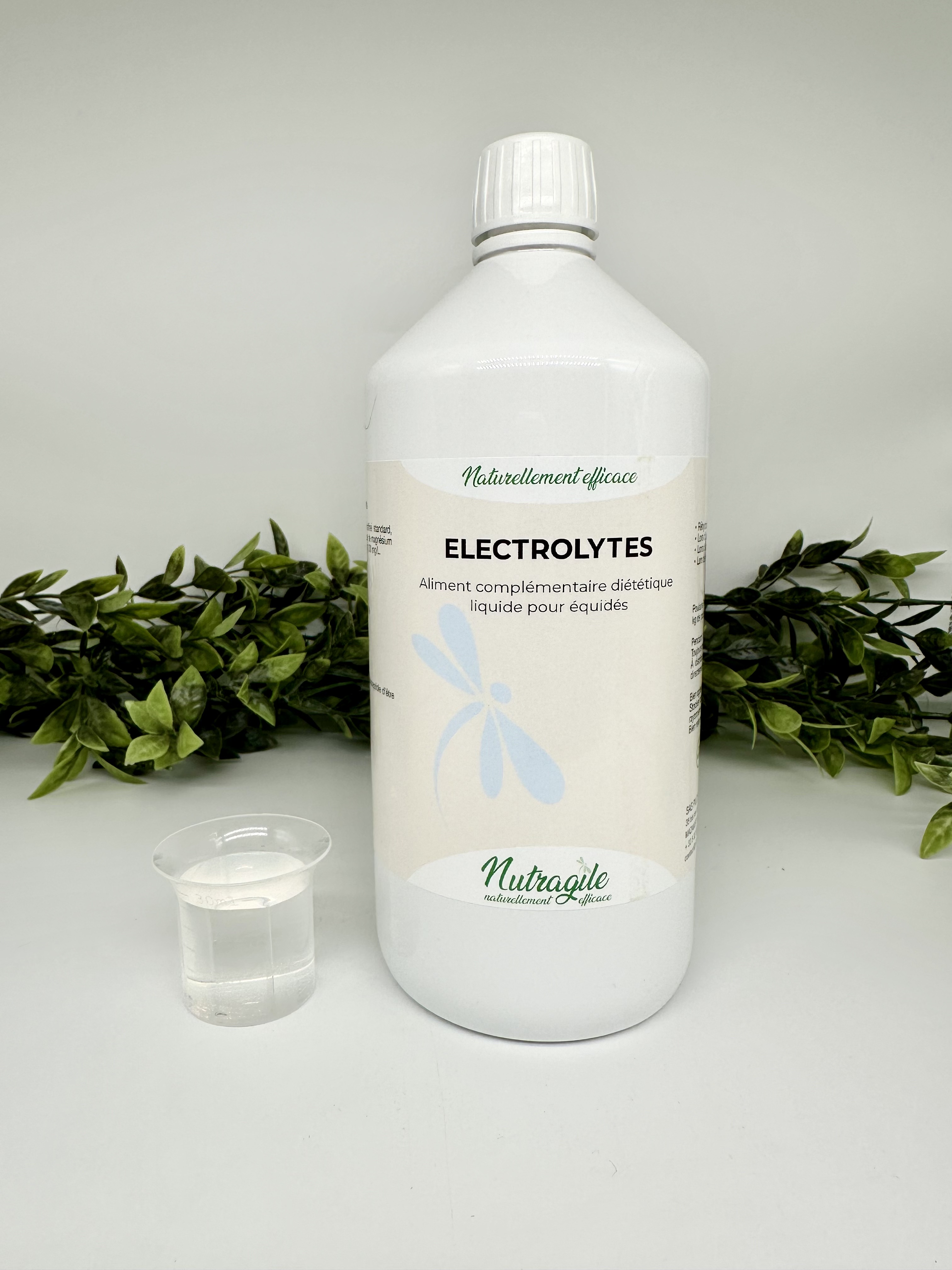 Nutragile Électrolytes