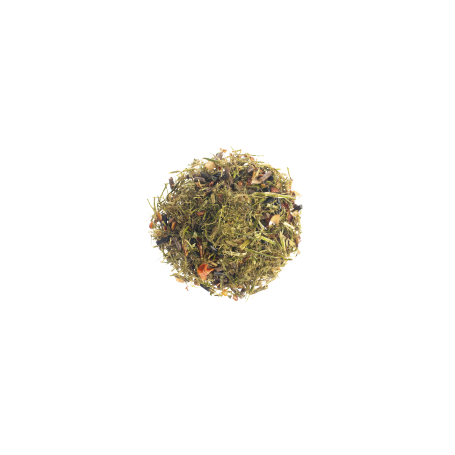 Lambey Gastri Fiber